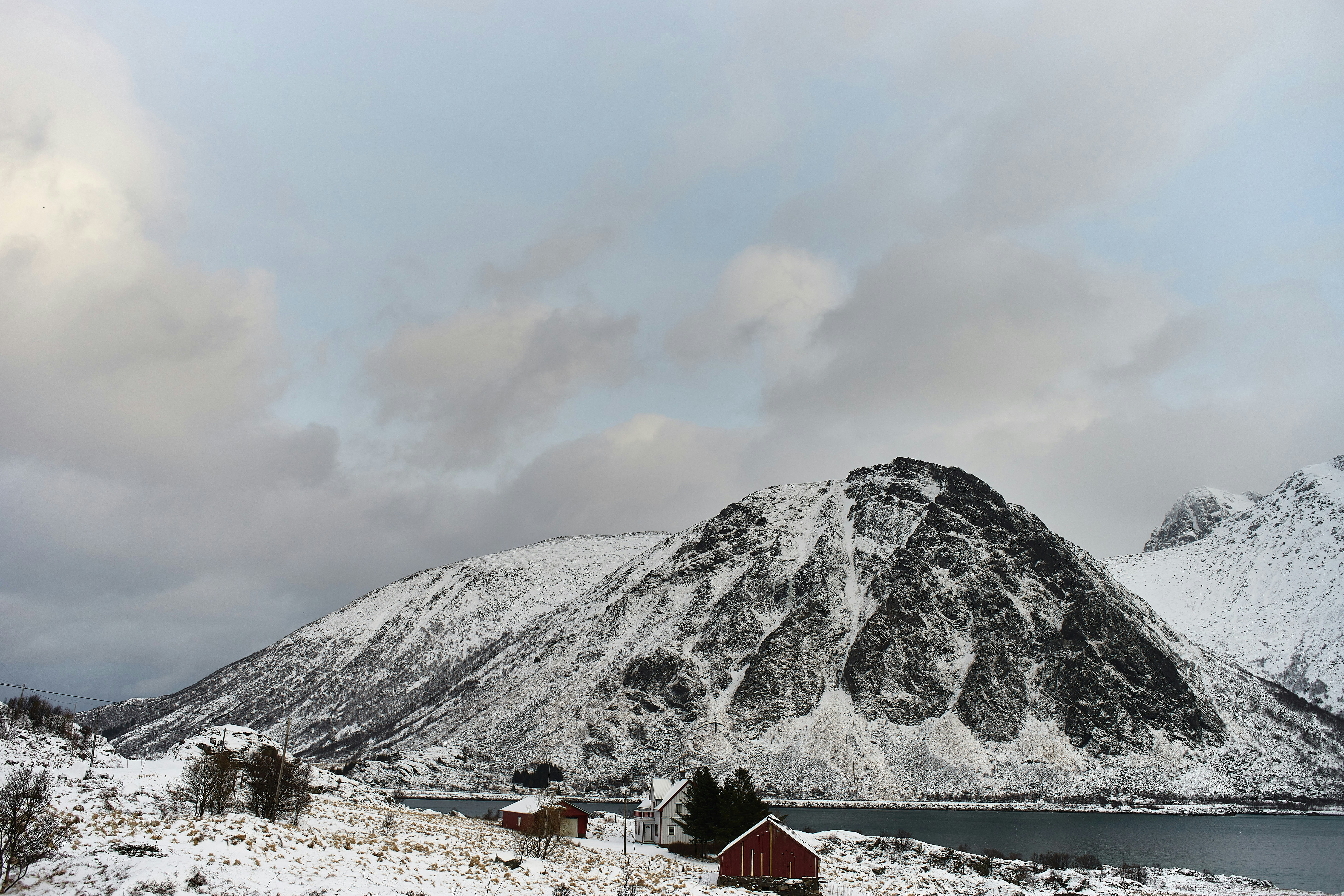 Photo by wolfgang_hasselmann