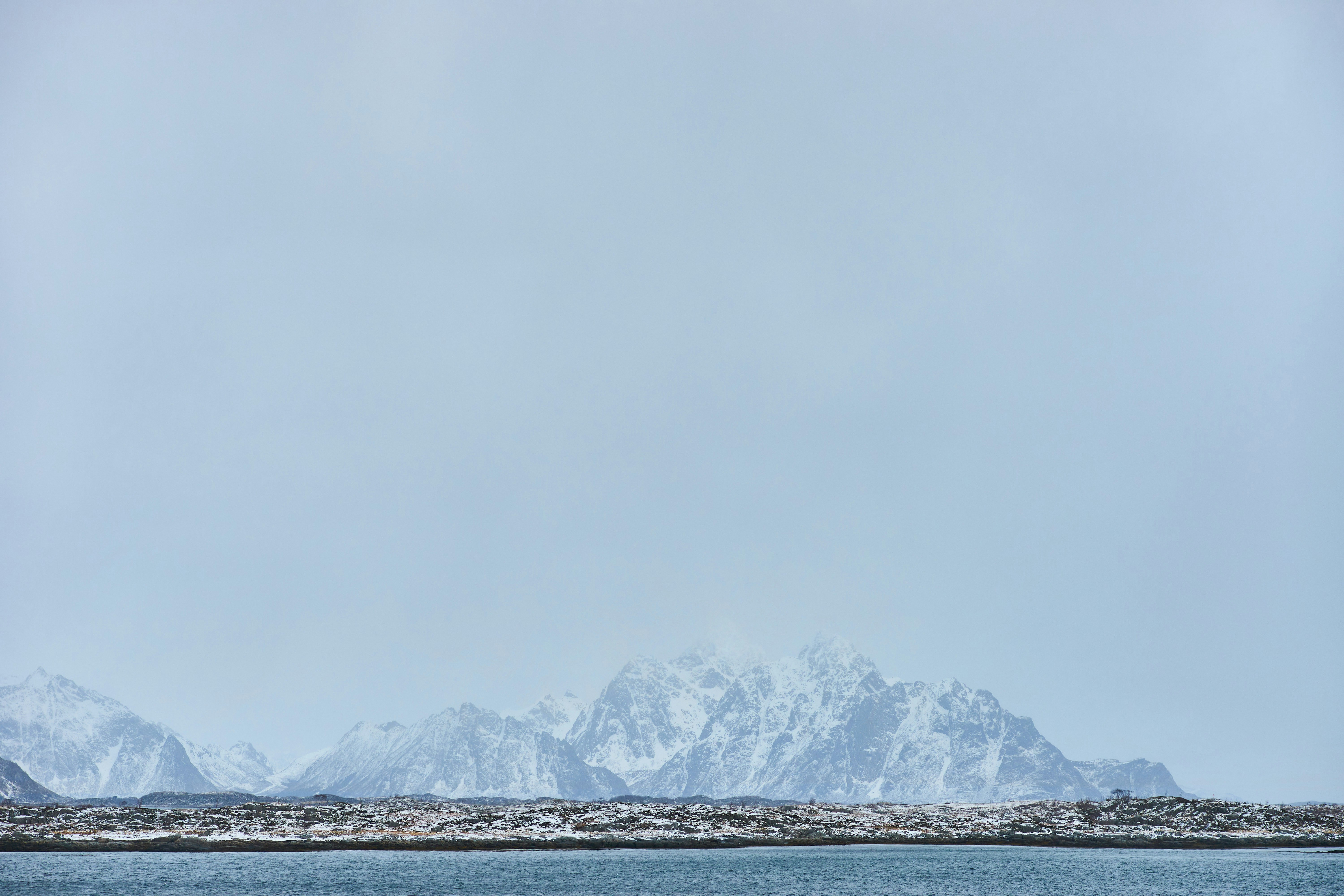 Photo by wolfgang_hasselmann