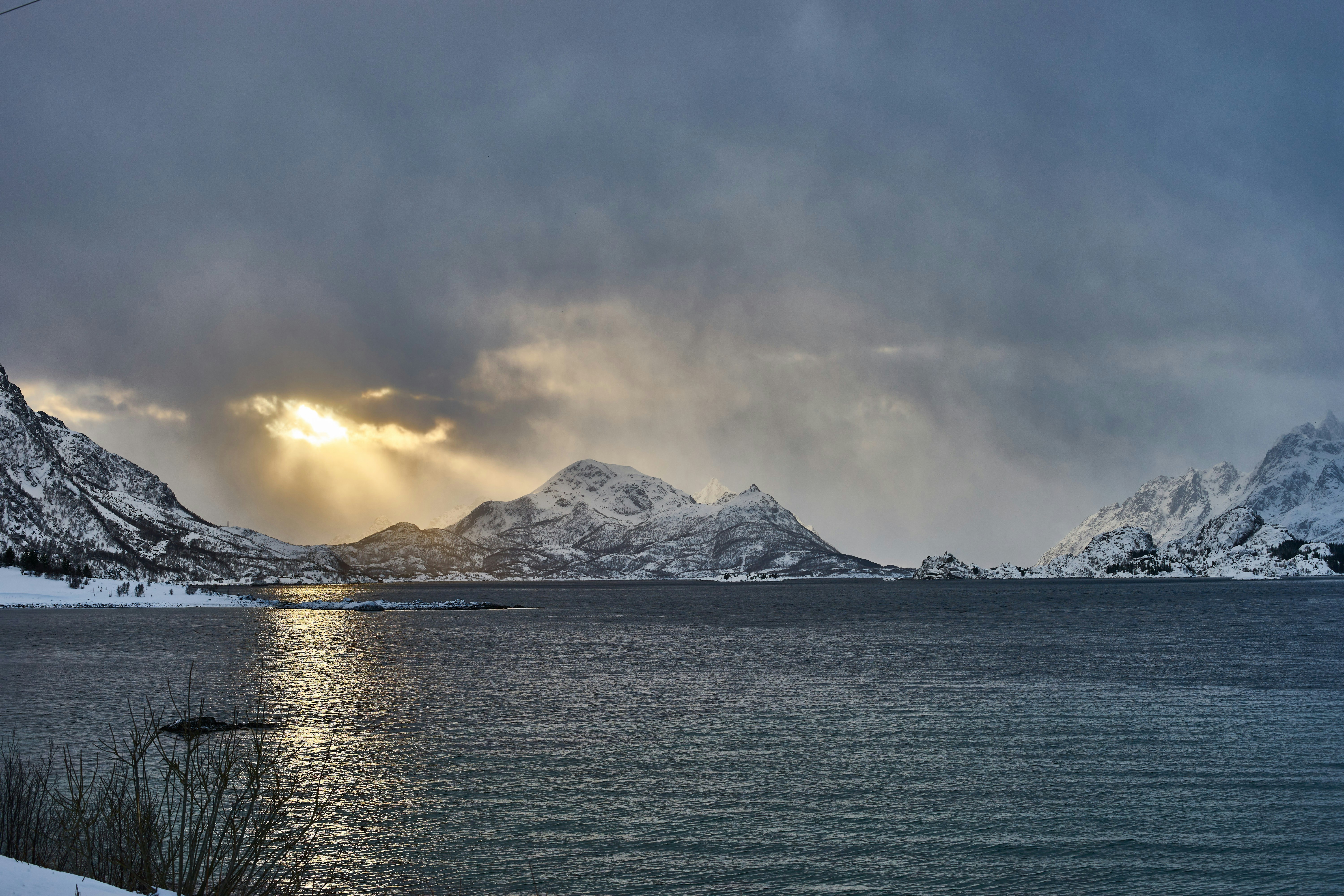 Photo by wolfgang_hasselmann