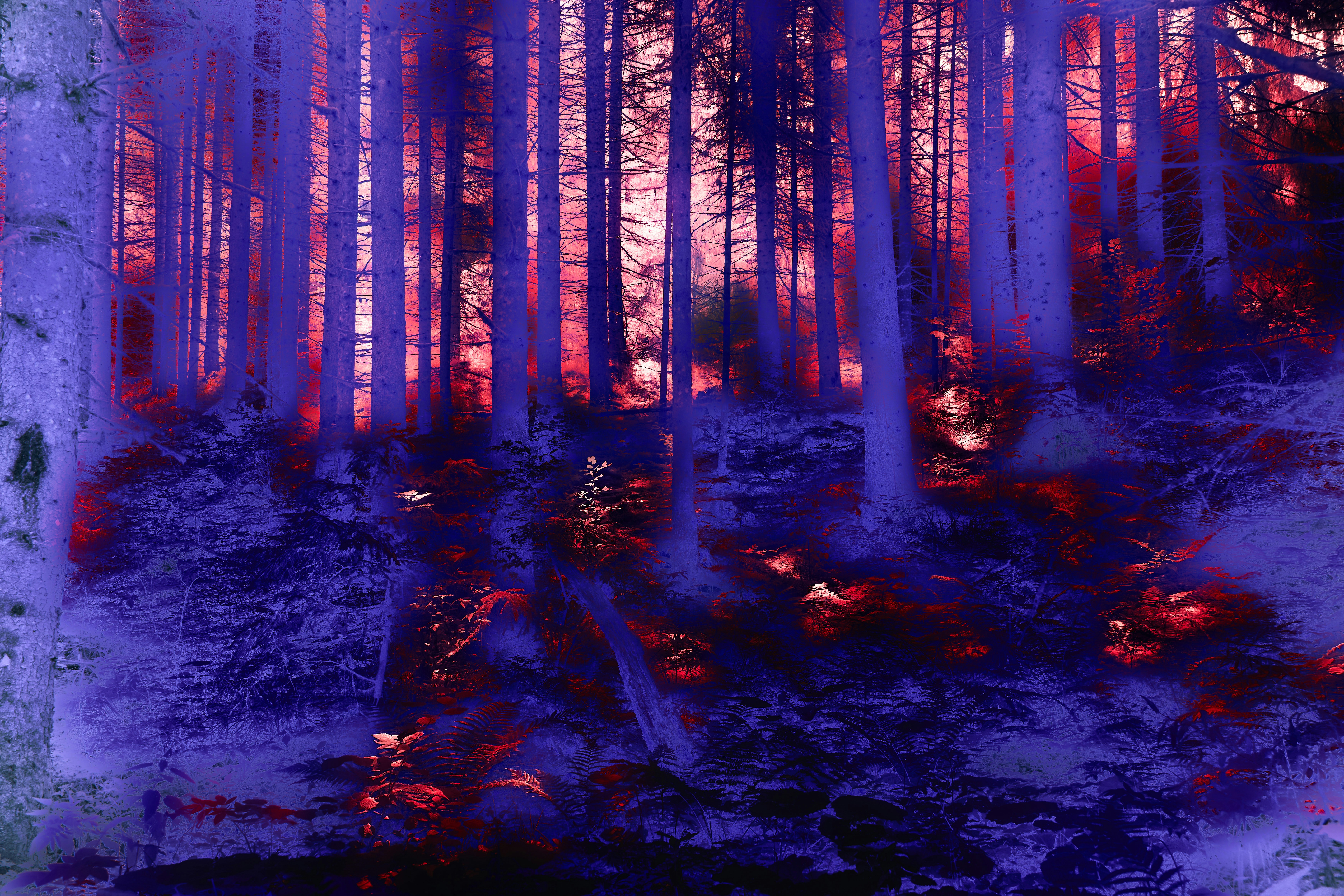 Photo by wolfgang_hasselmann