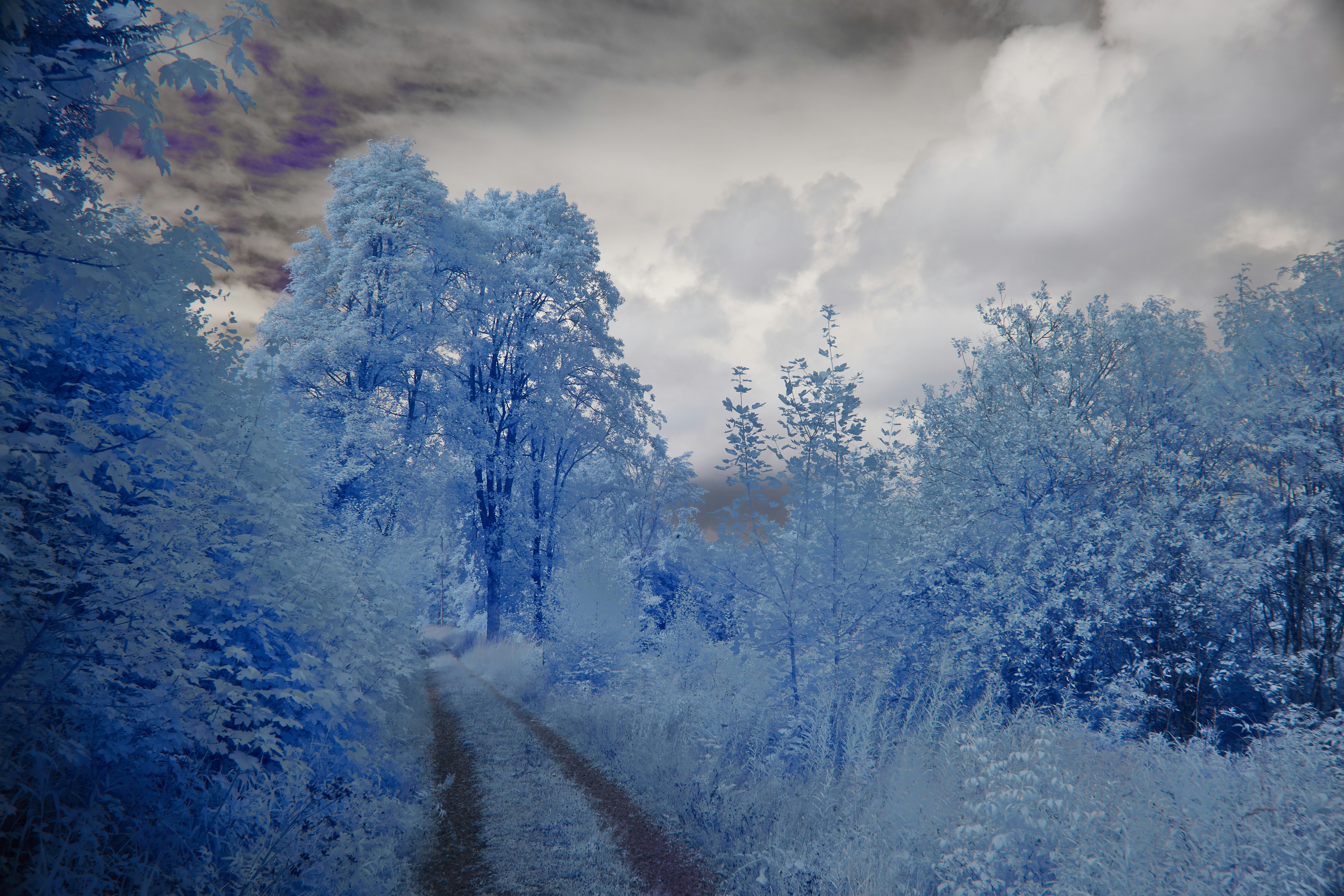 Photo by wolfgang_hasselmann