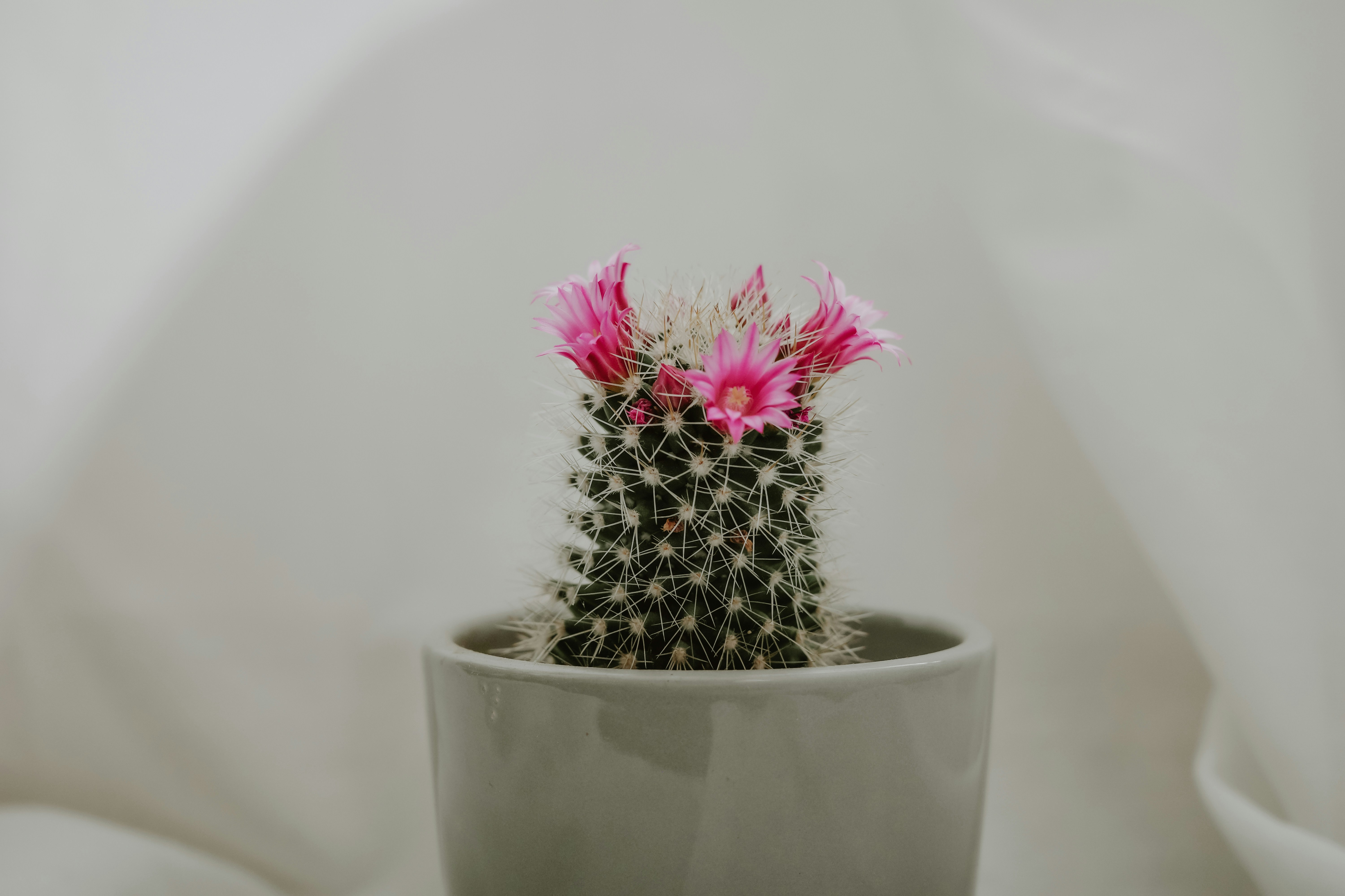 Photo by virginiaphotostories