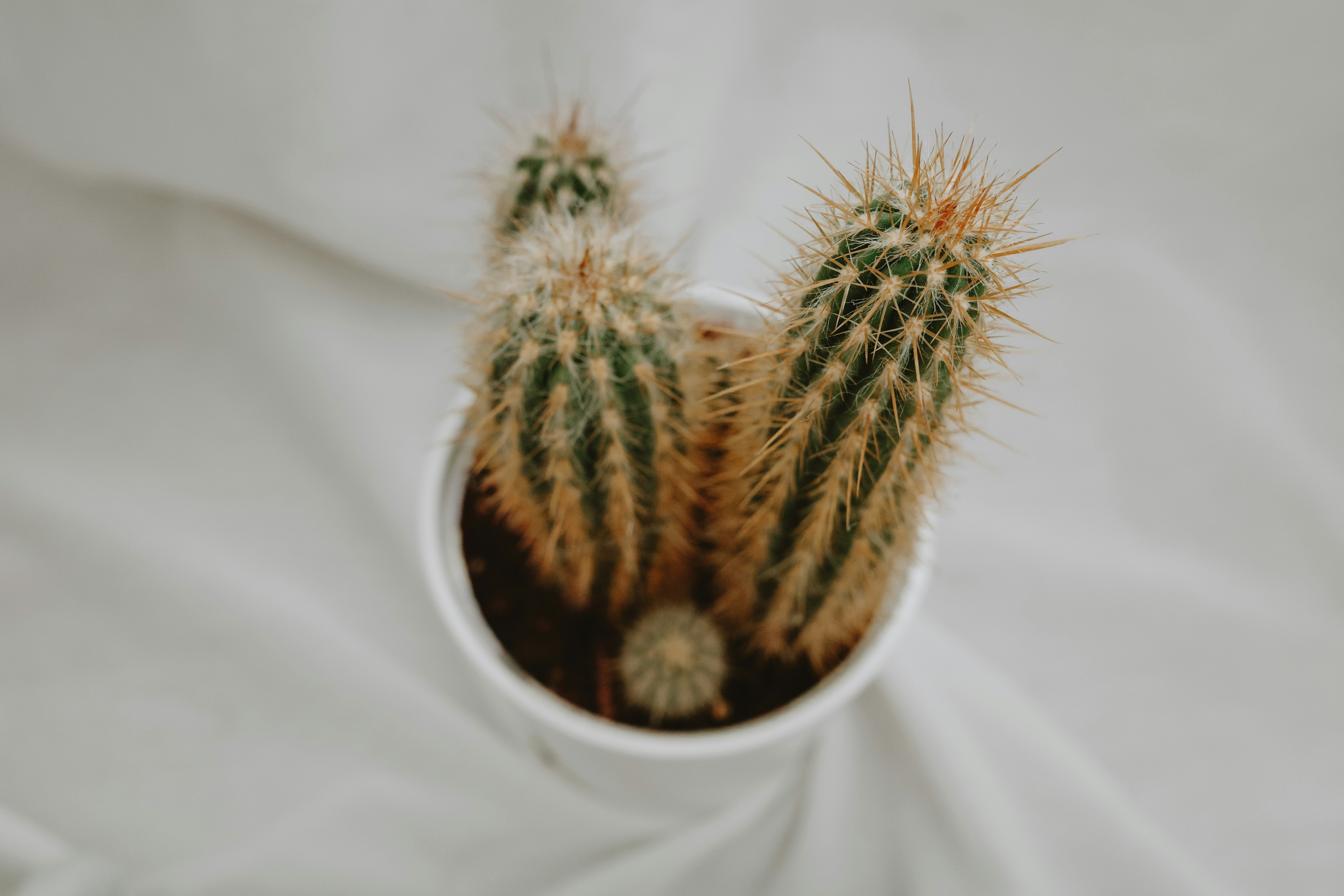 Photo by virginiaphotostories