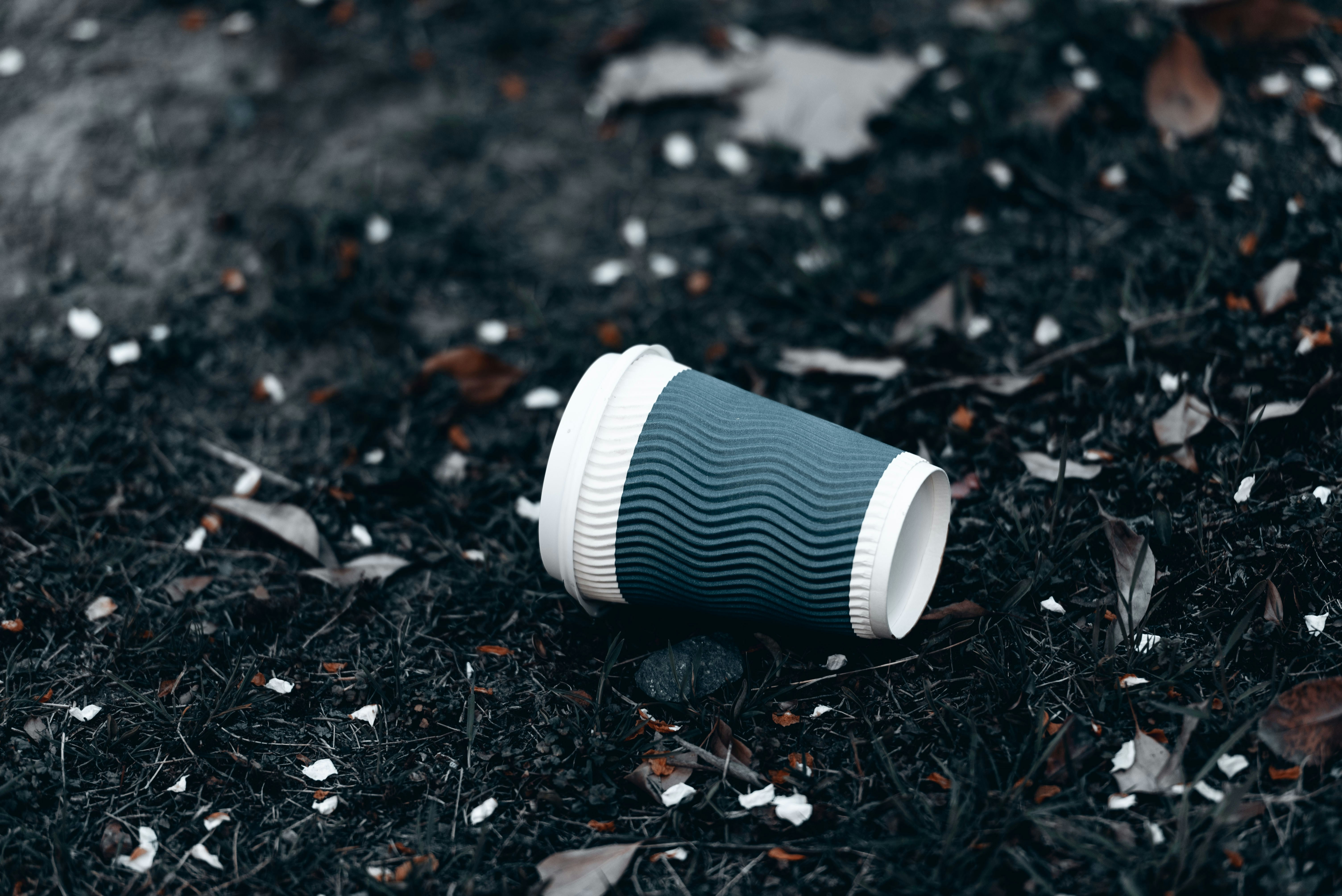 Plastový pohár a ochrana planéty: Ako môžeme pomôcť?