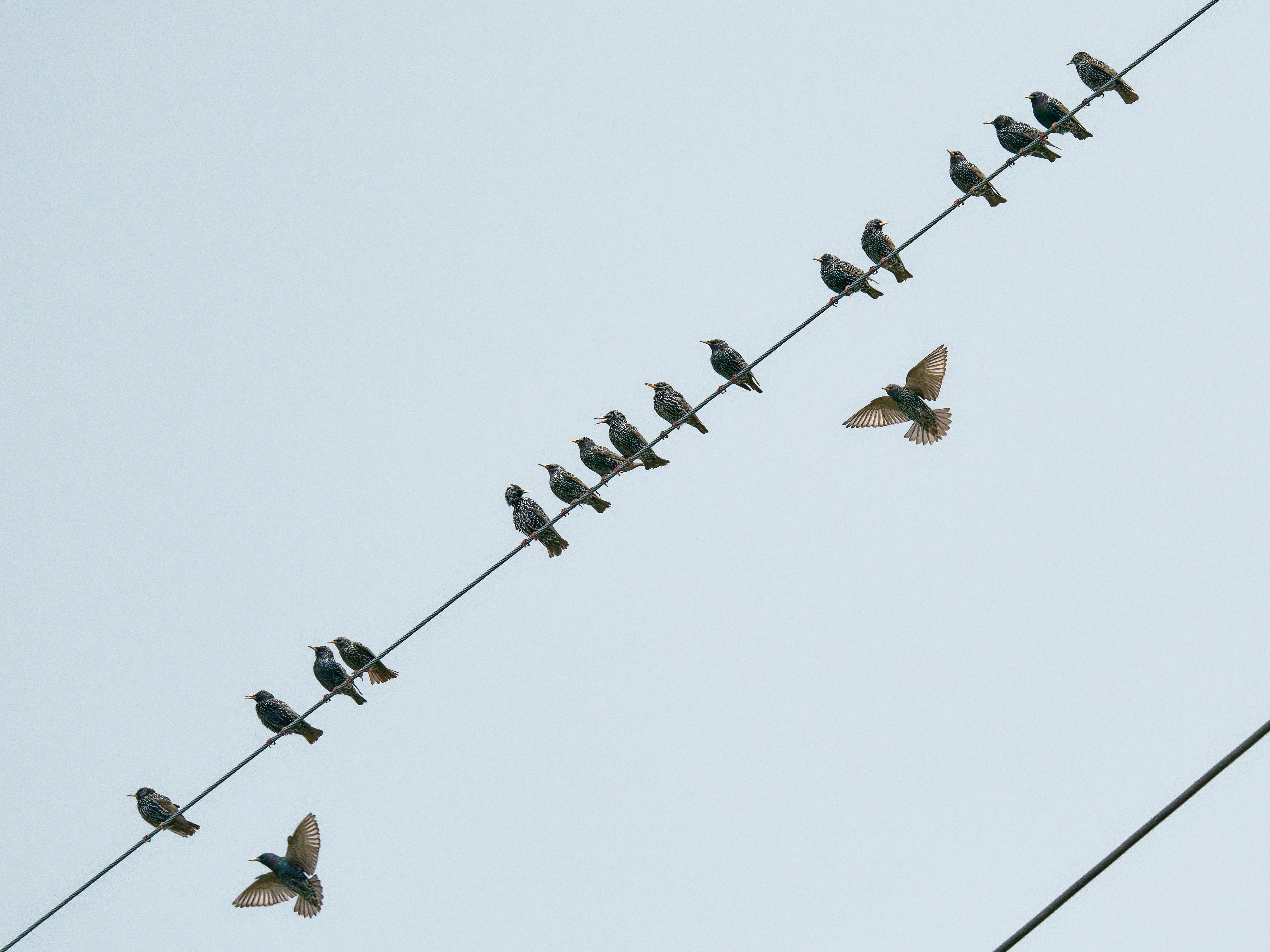 Photo by illes_cristi