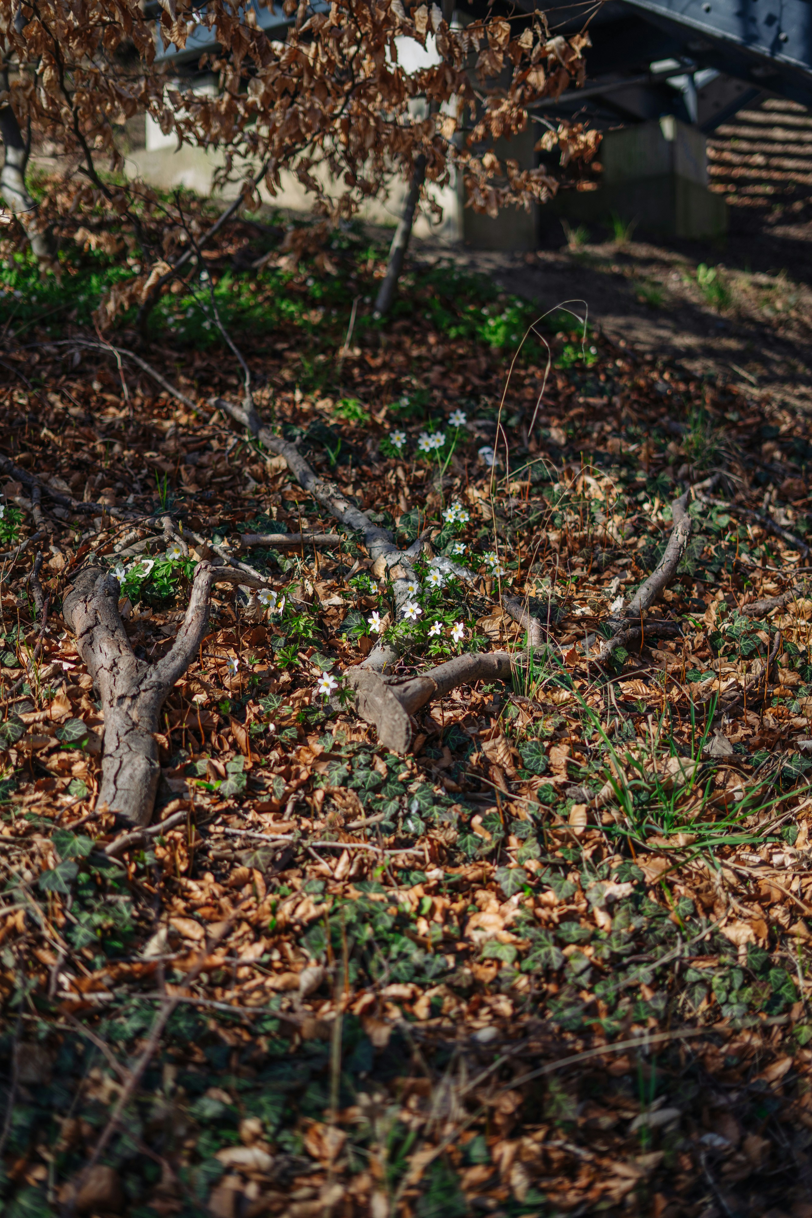 Photo by robert_lens