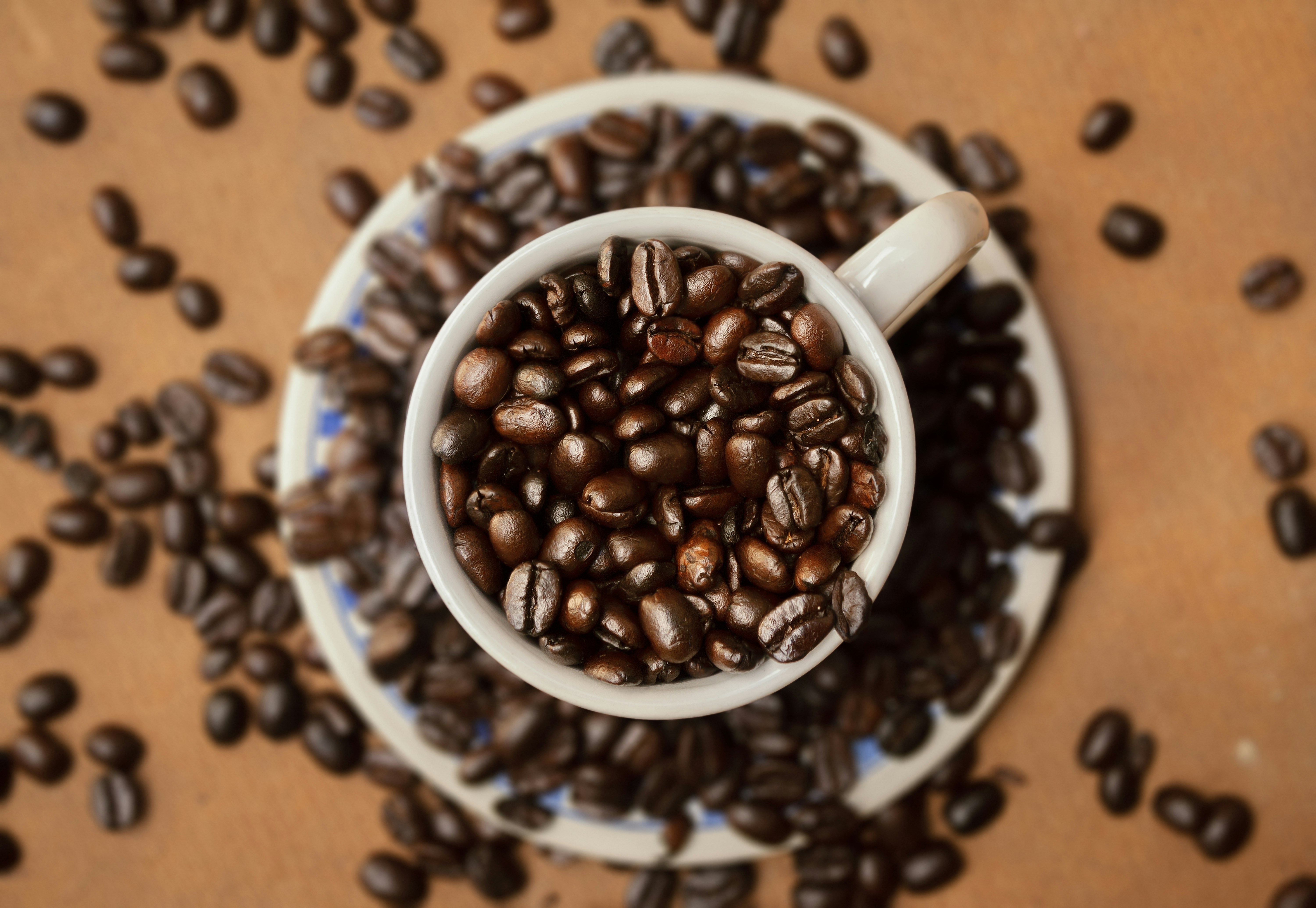 Photo by americanaez225