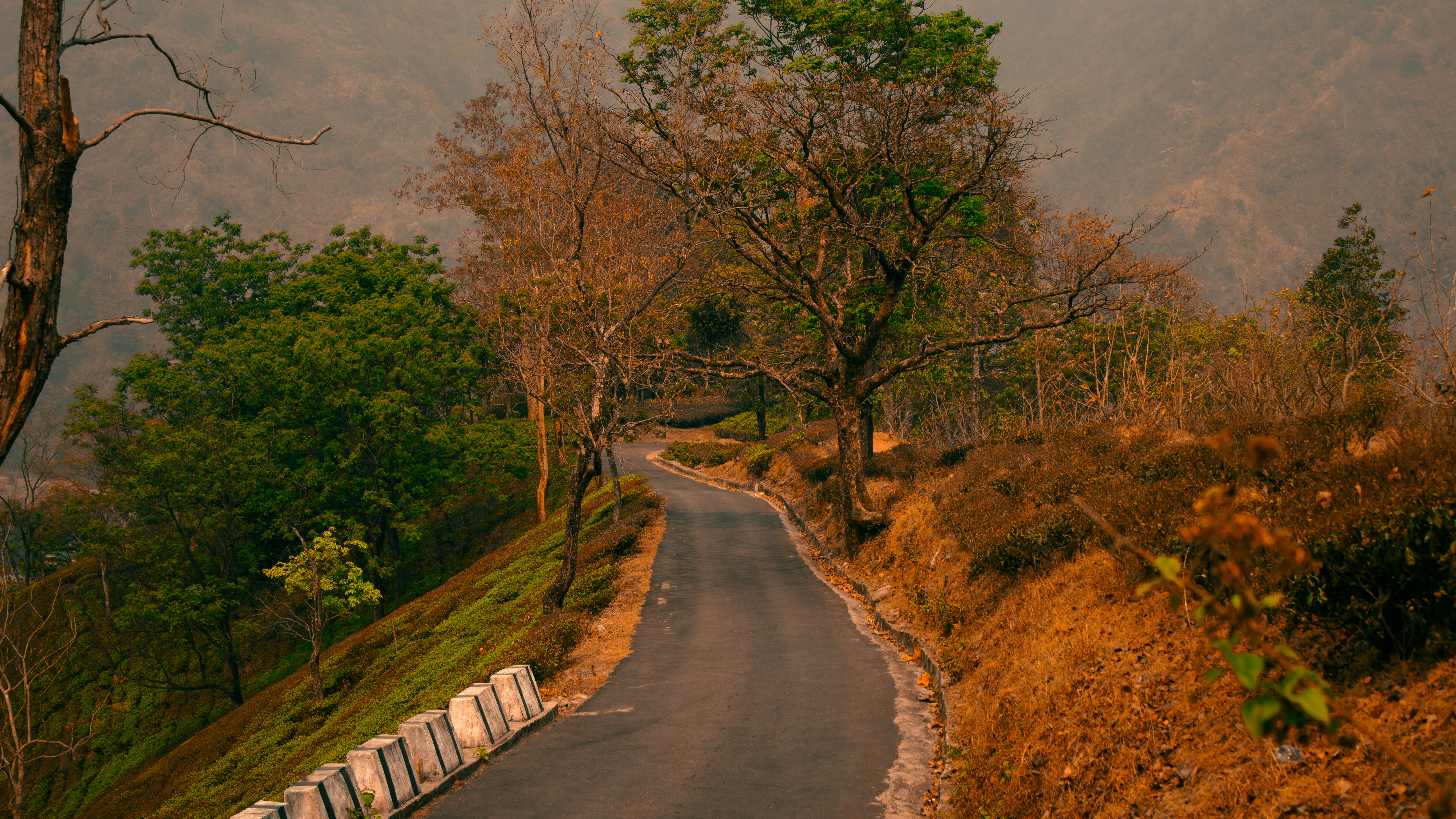 A winding road through a forested landscape.