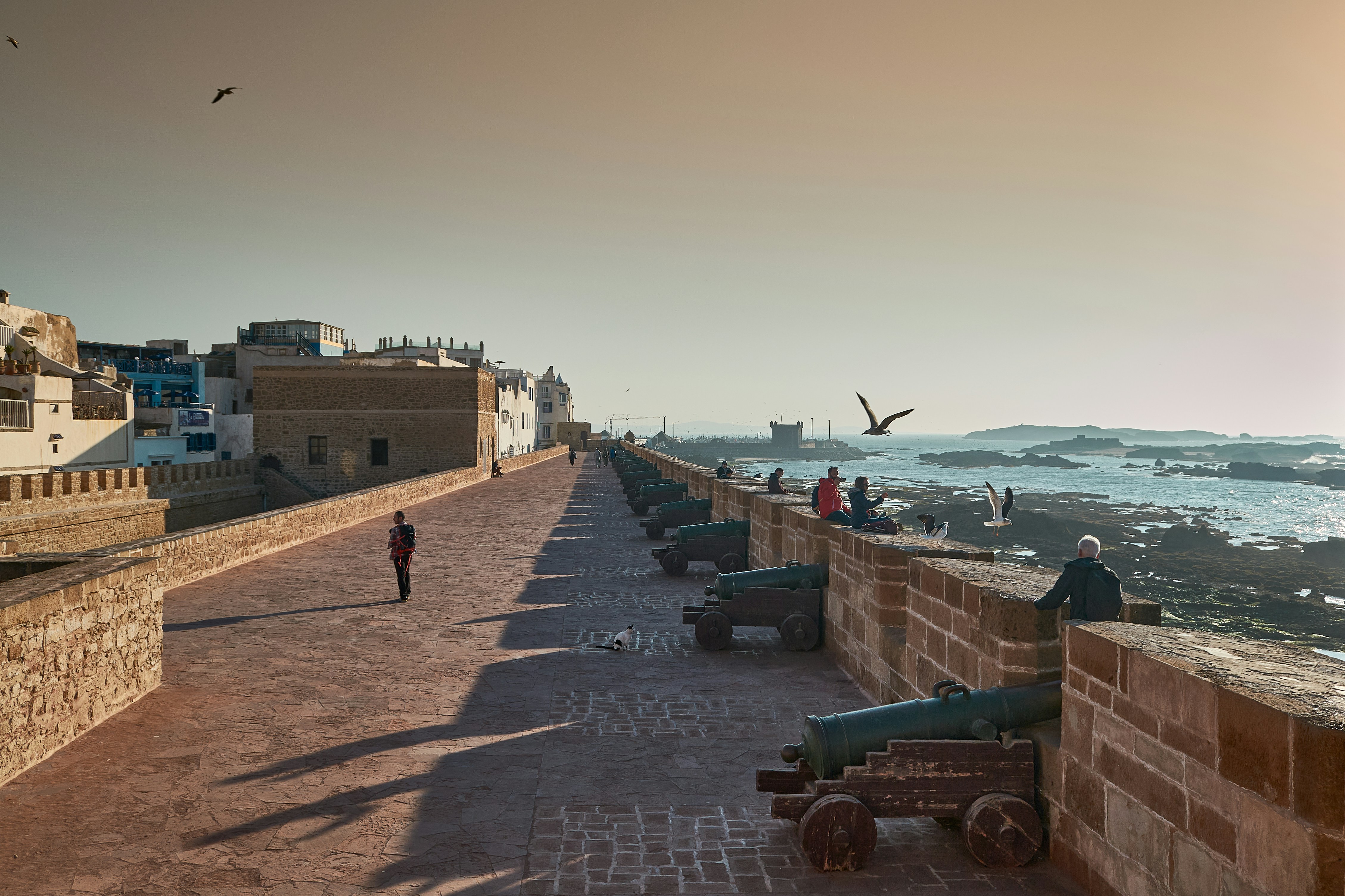 Essaouira – Weather & Seasonal Patterns