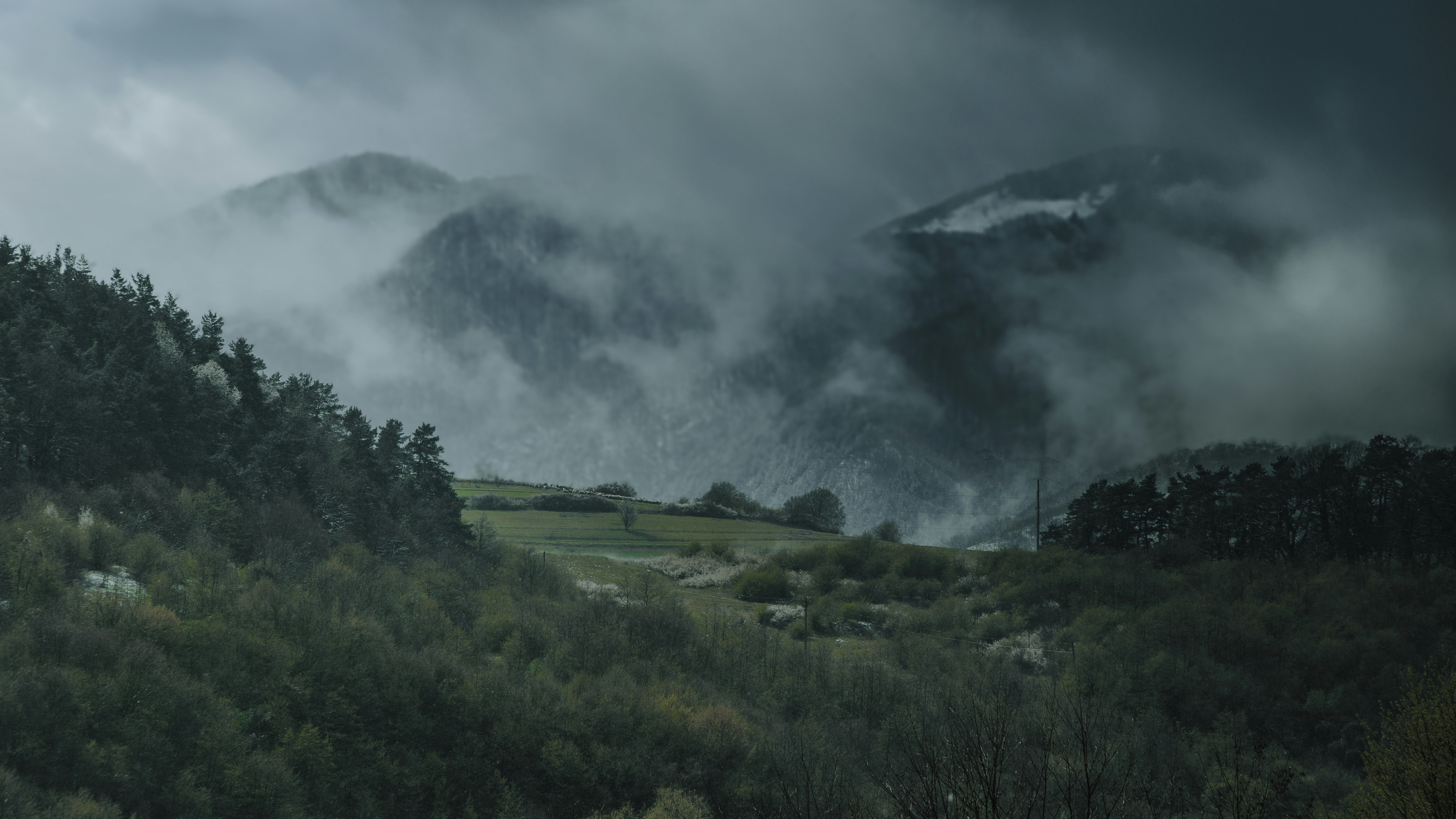 Photo by barbosul08