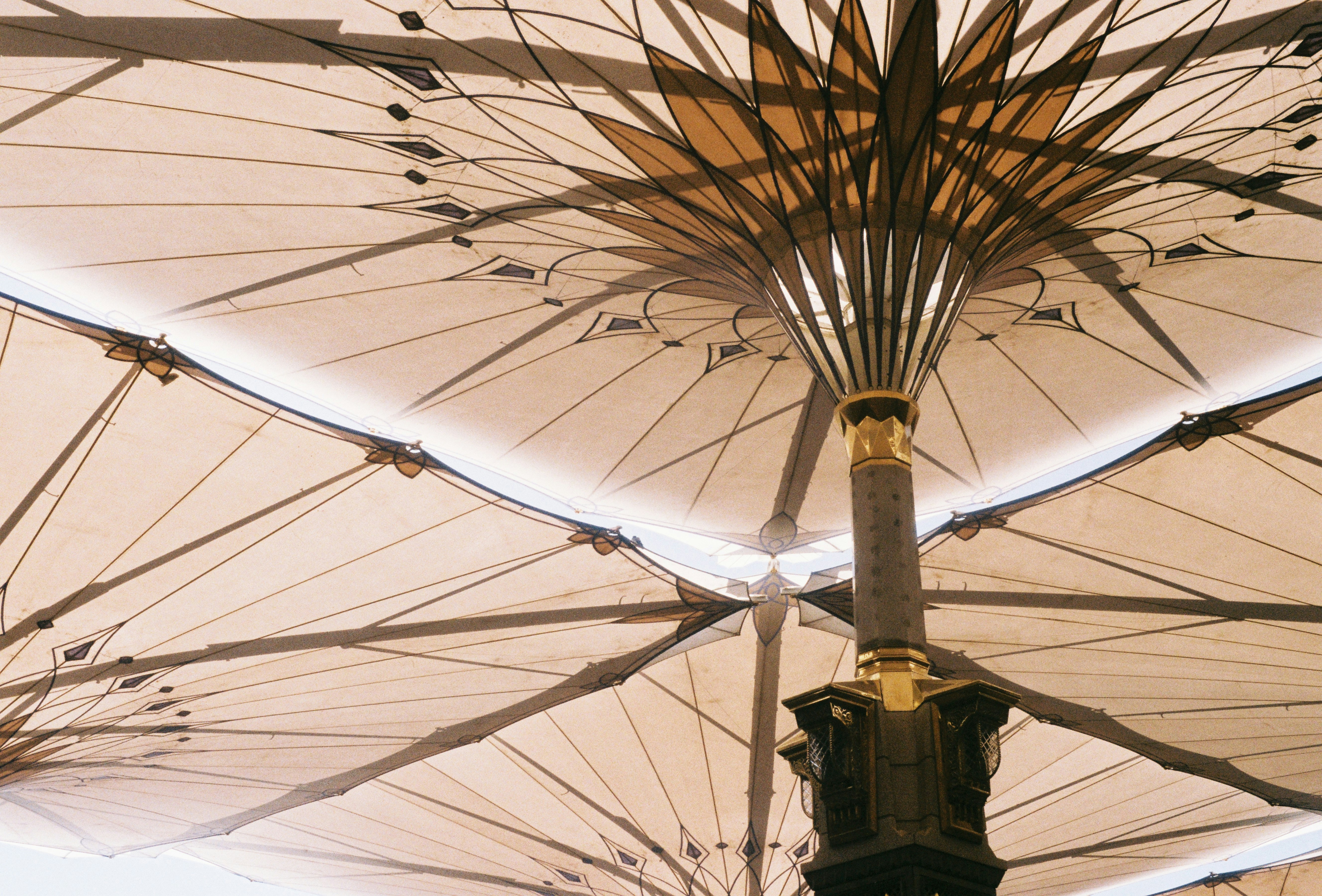 Photo by hakammagdea