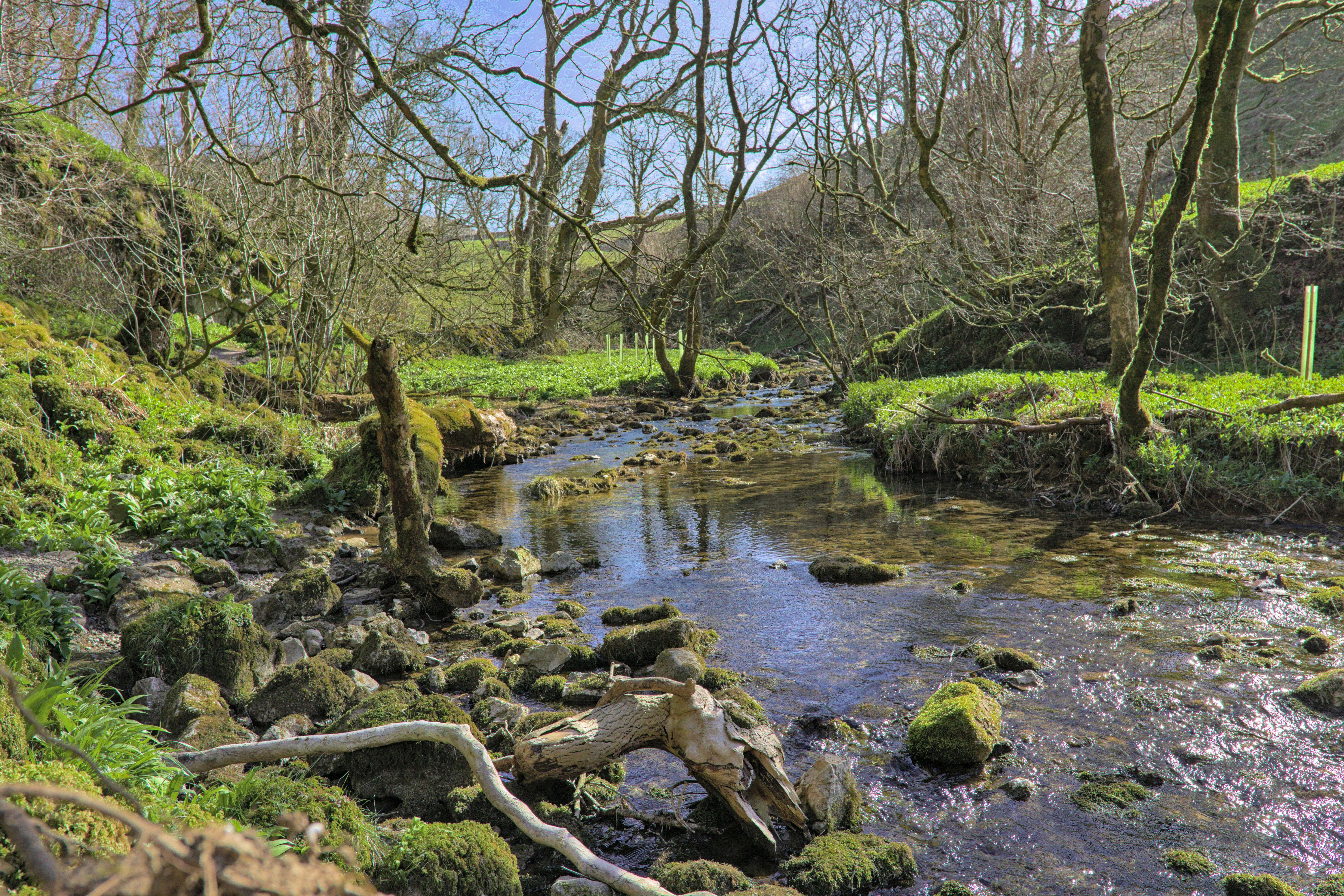 Photo by _asimrehman