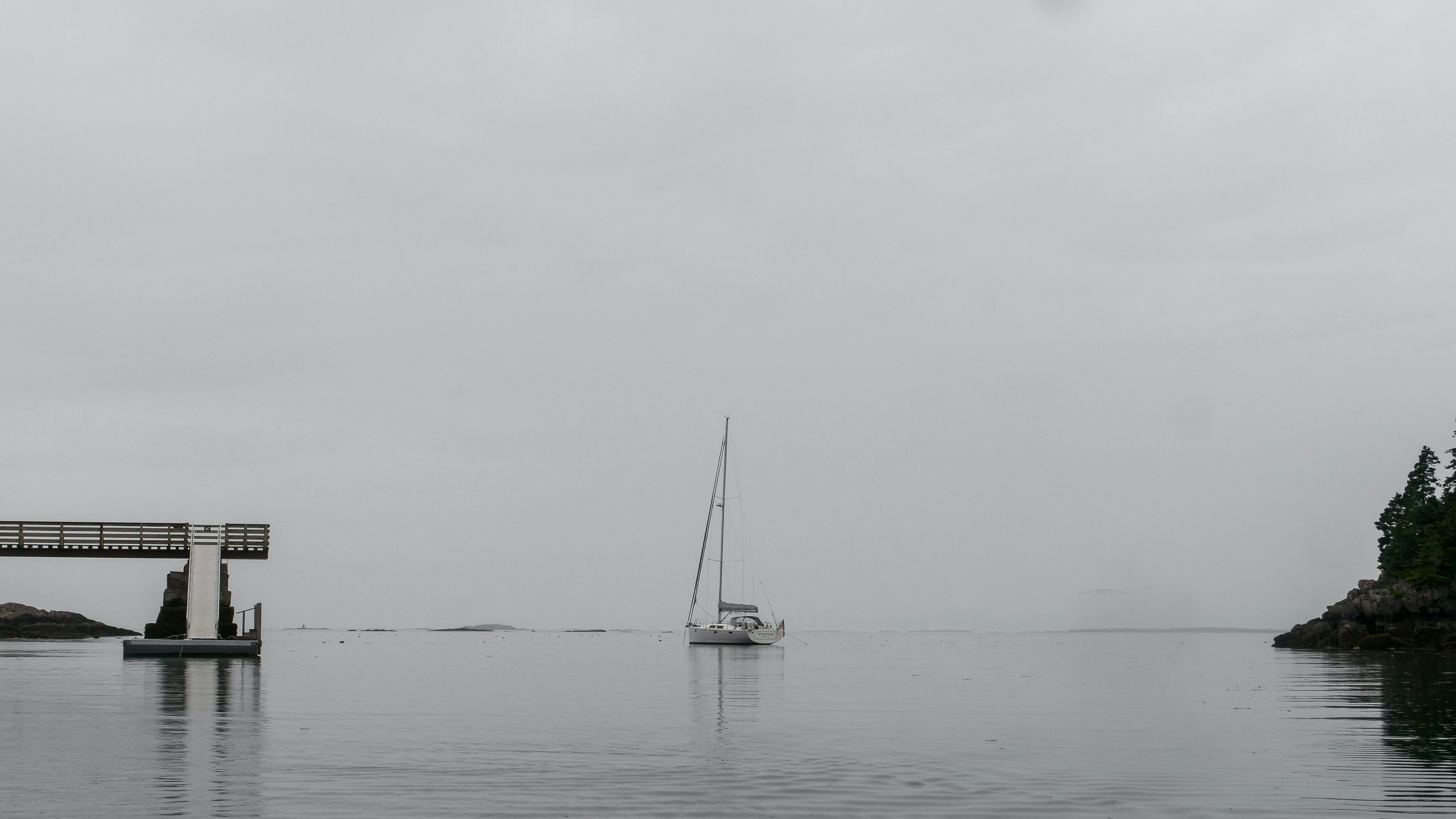 Hanse-Sarkasmus: Warum ein junger Hoffnungsträger vom Sund die einzige Lösung für die maritime Depression ist