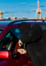 A thief is trying to break into a car