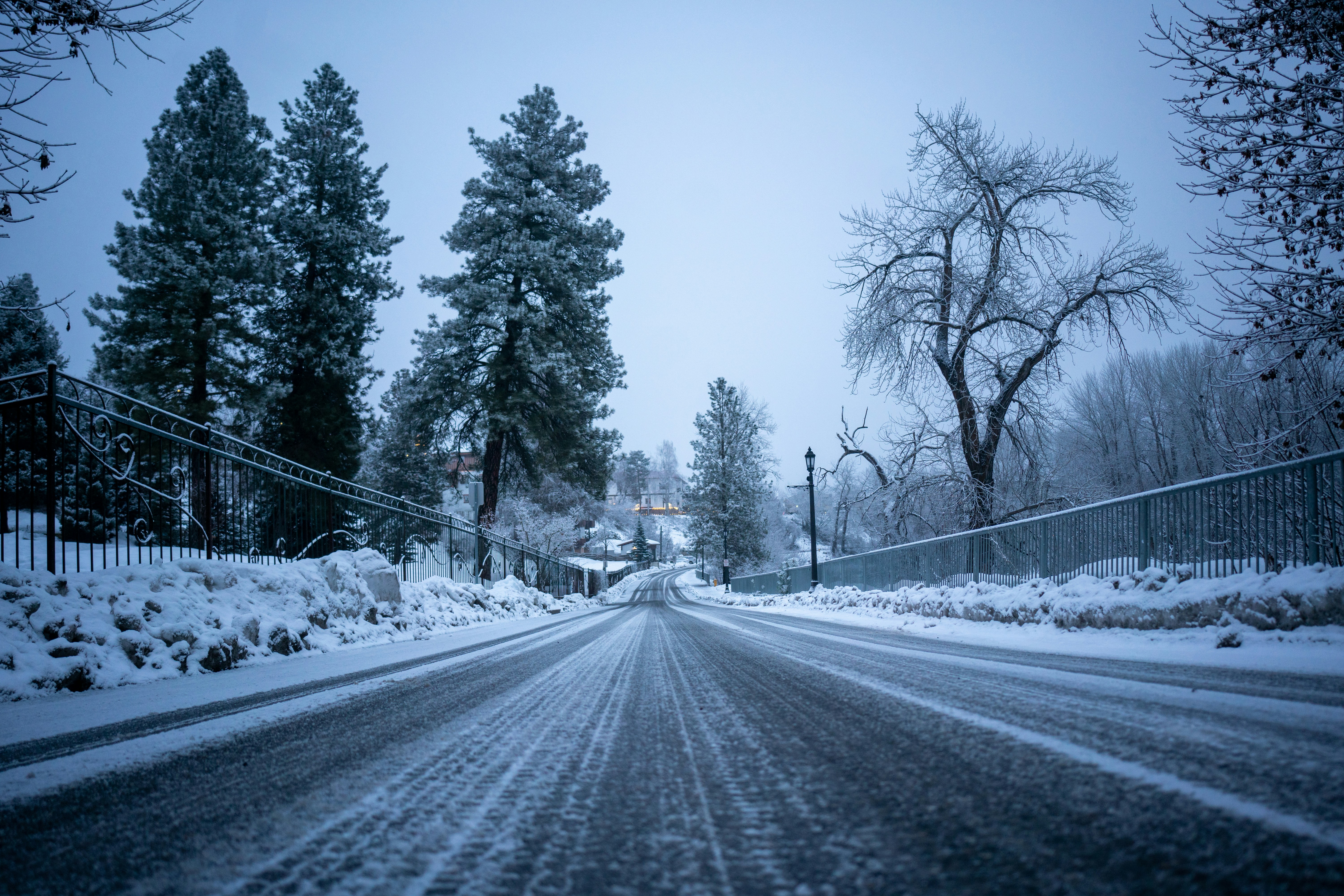 A snowy road leads through a winter scene.