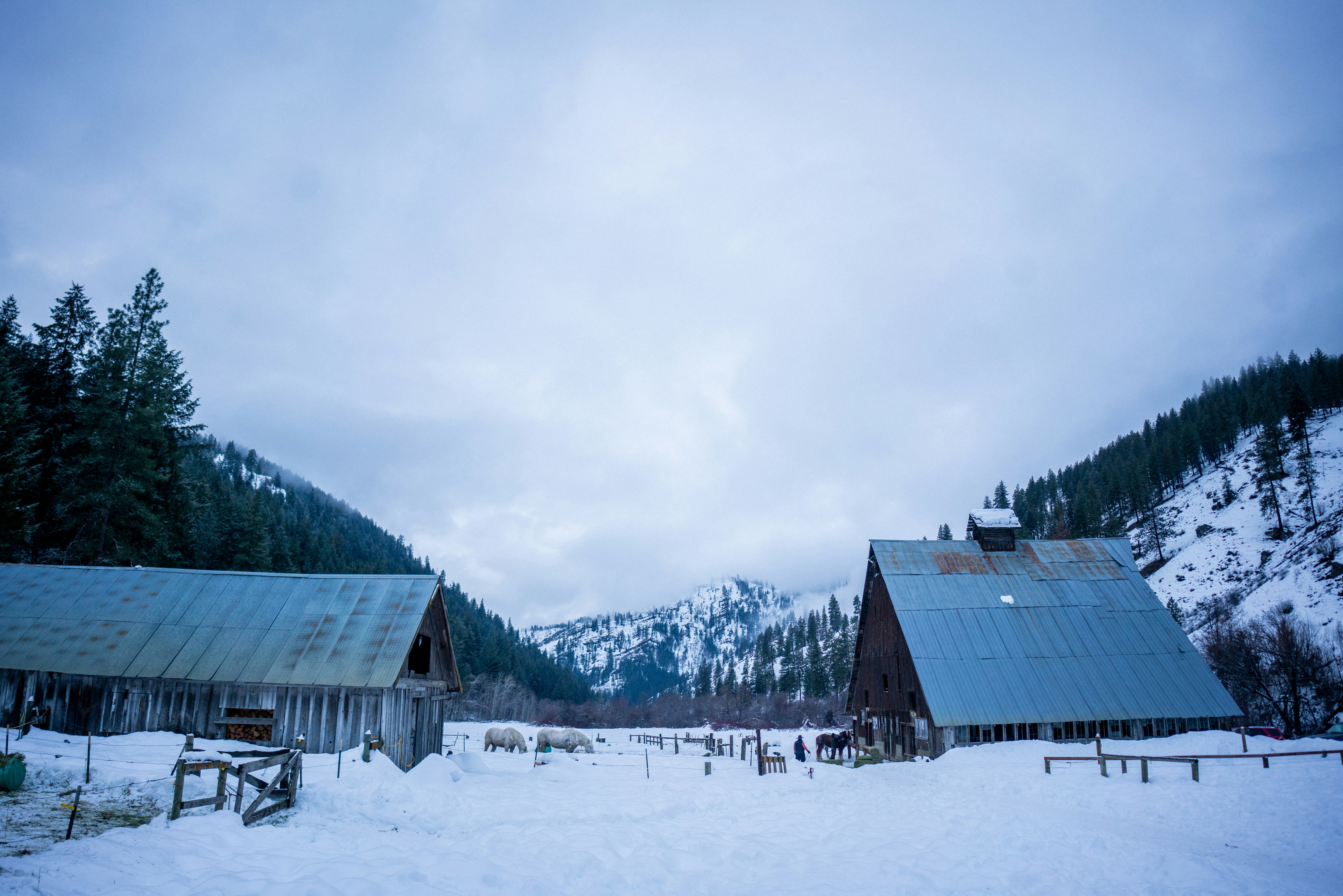 Snowy barns sit nestled in a mountain valley.