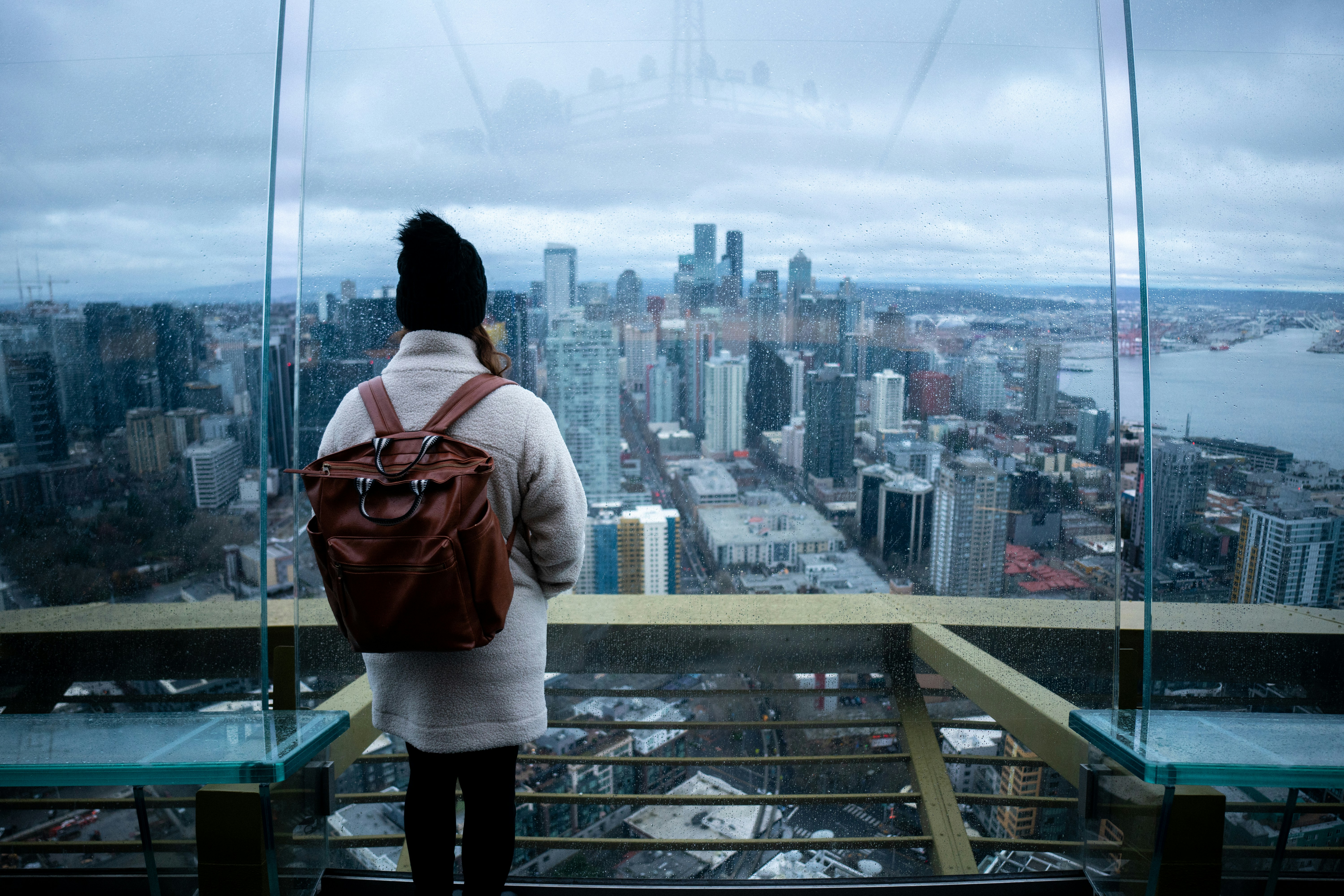 Woman gazing at the city skyline from above.
