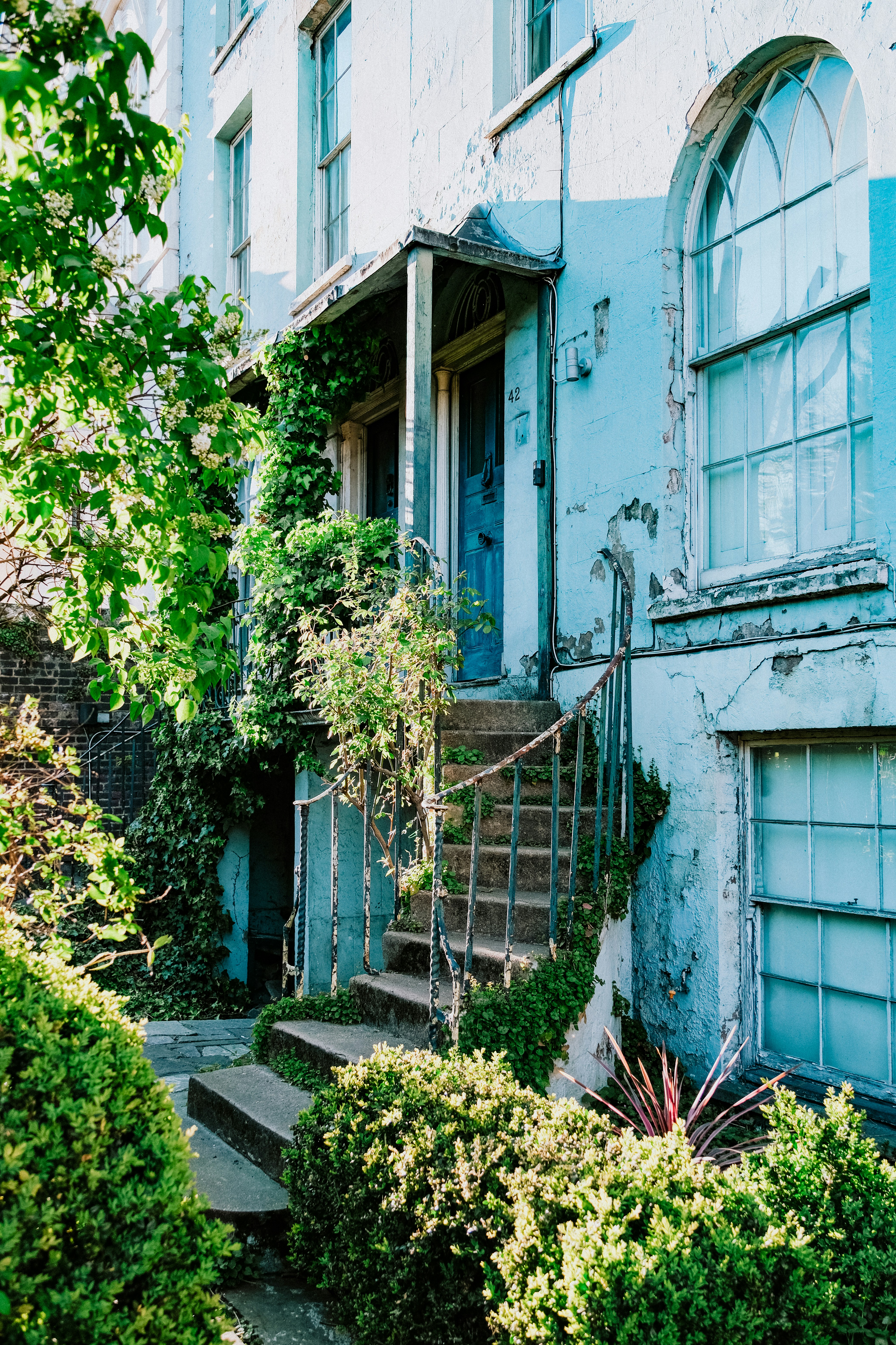 A charming, overgrown house with stairs and greenery.