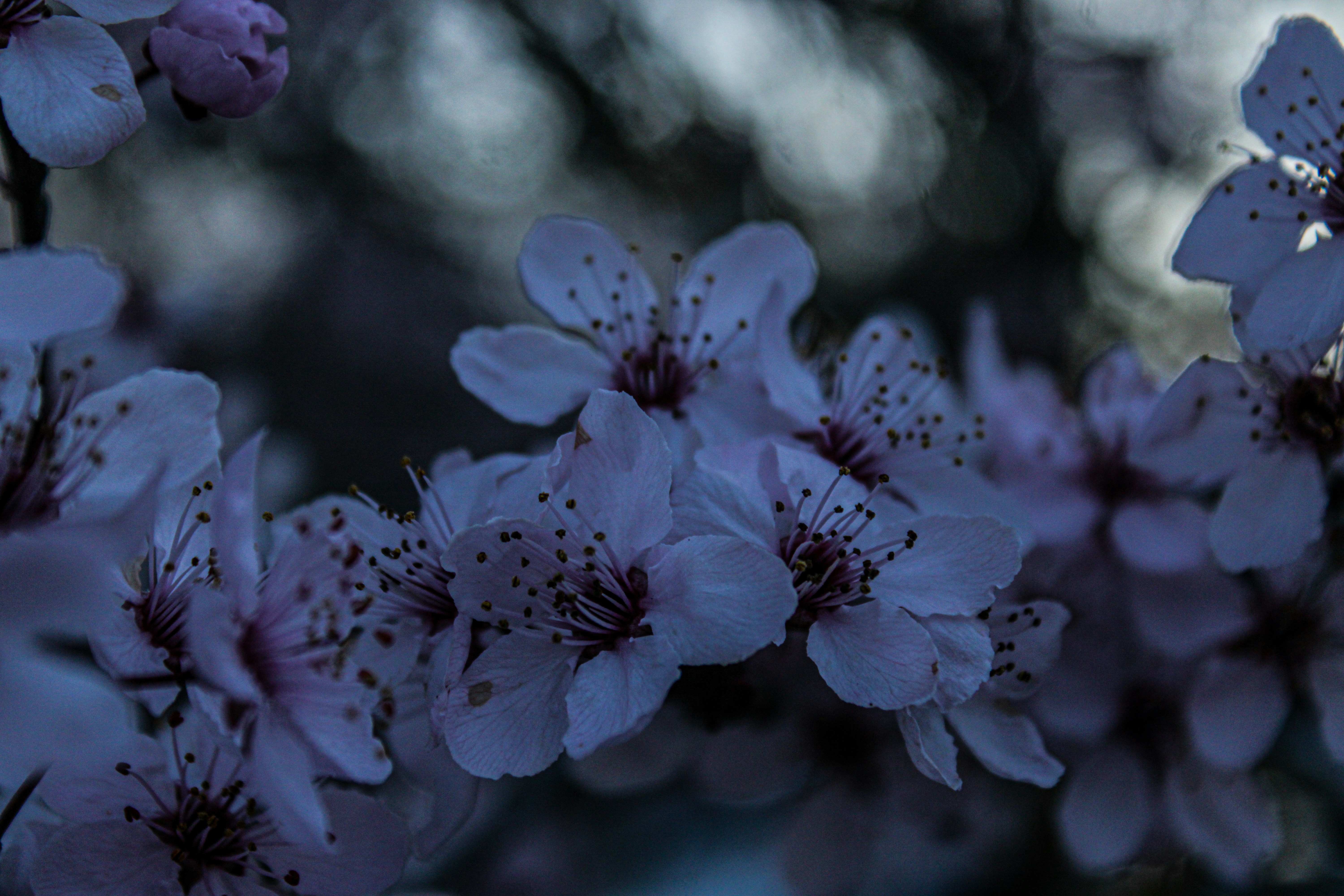 Photo by prphotography262