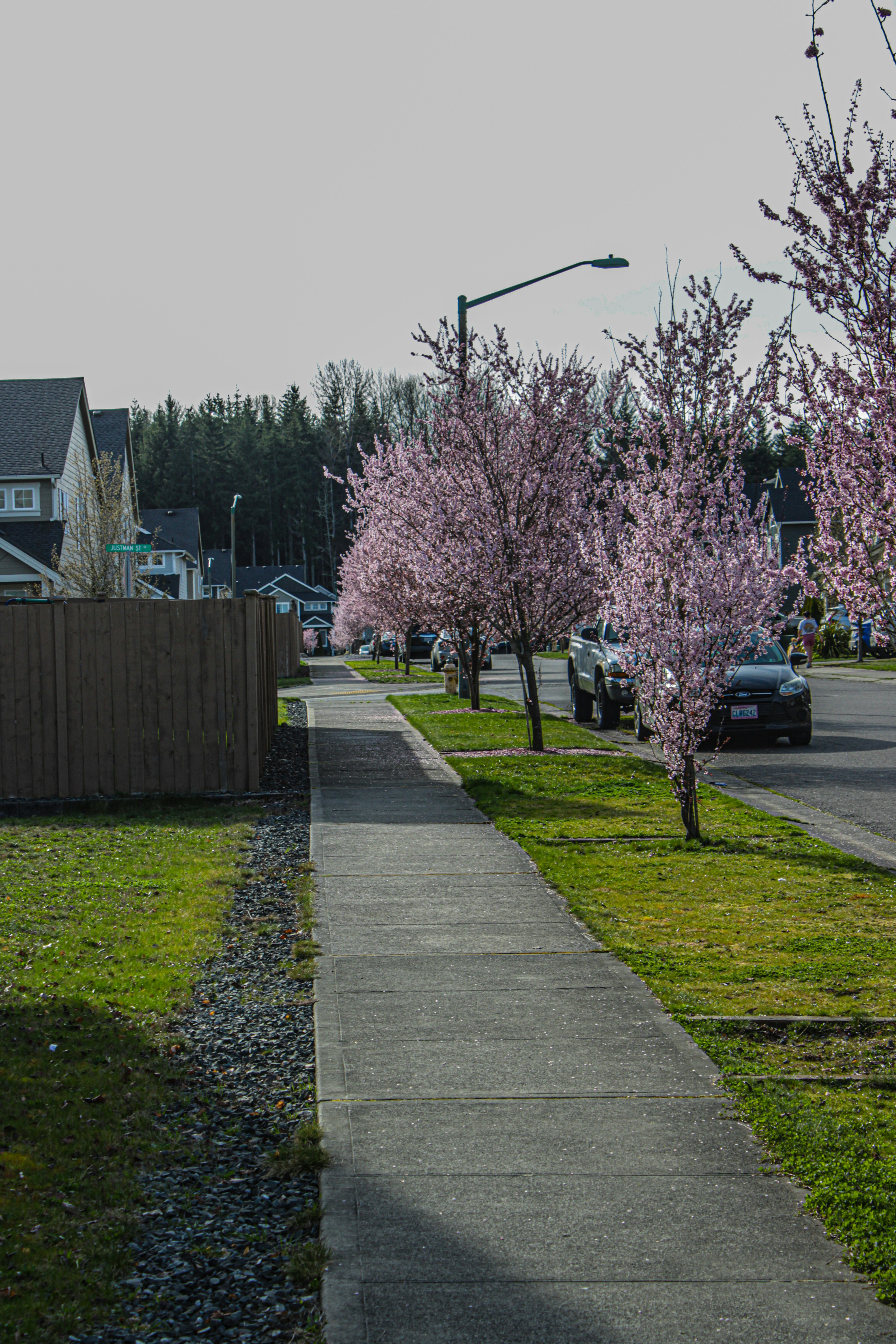 Photo by prphotography262