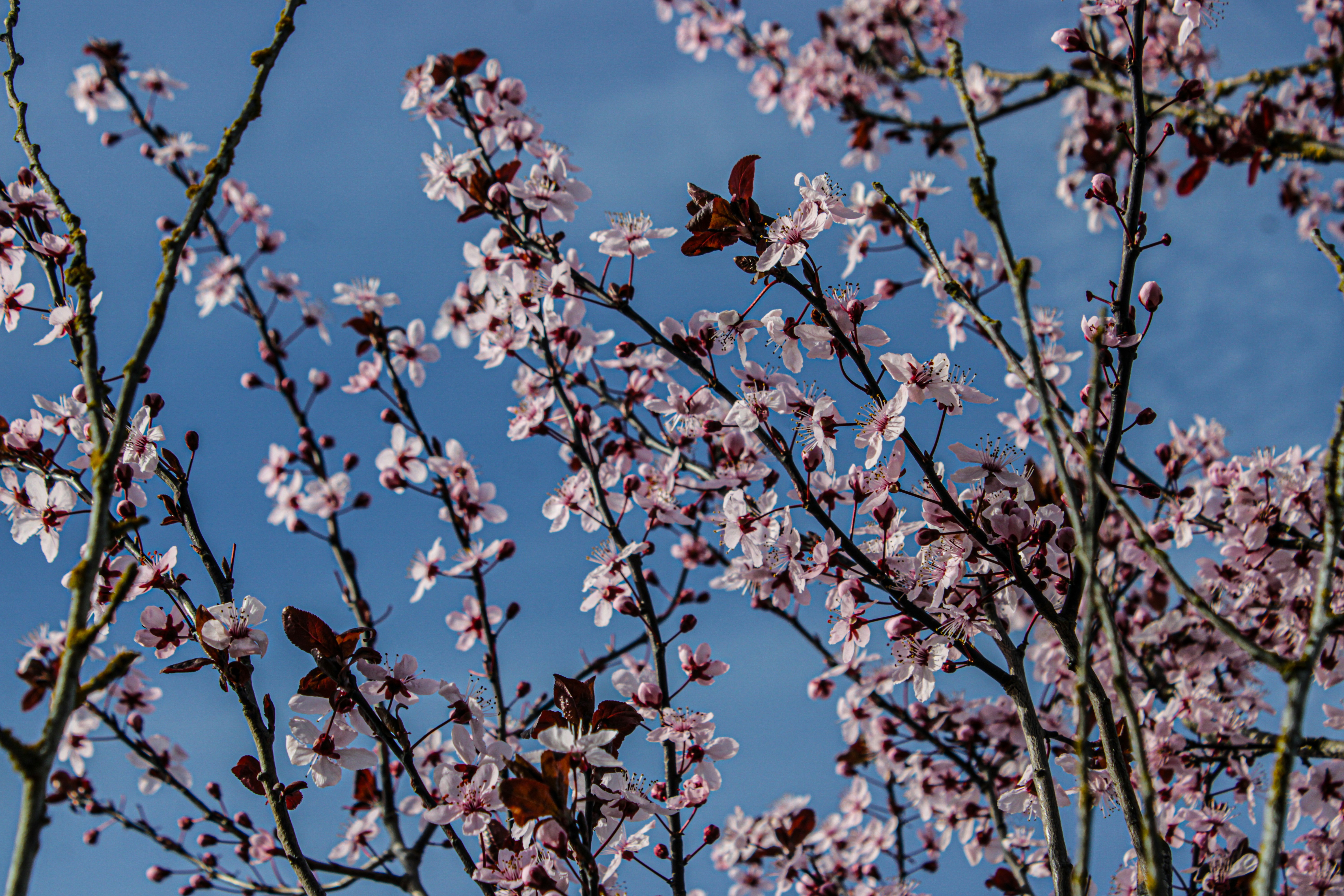 Photo by prphotography262