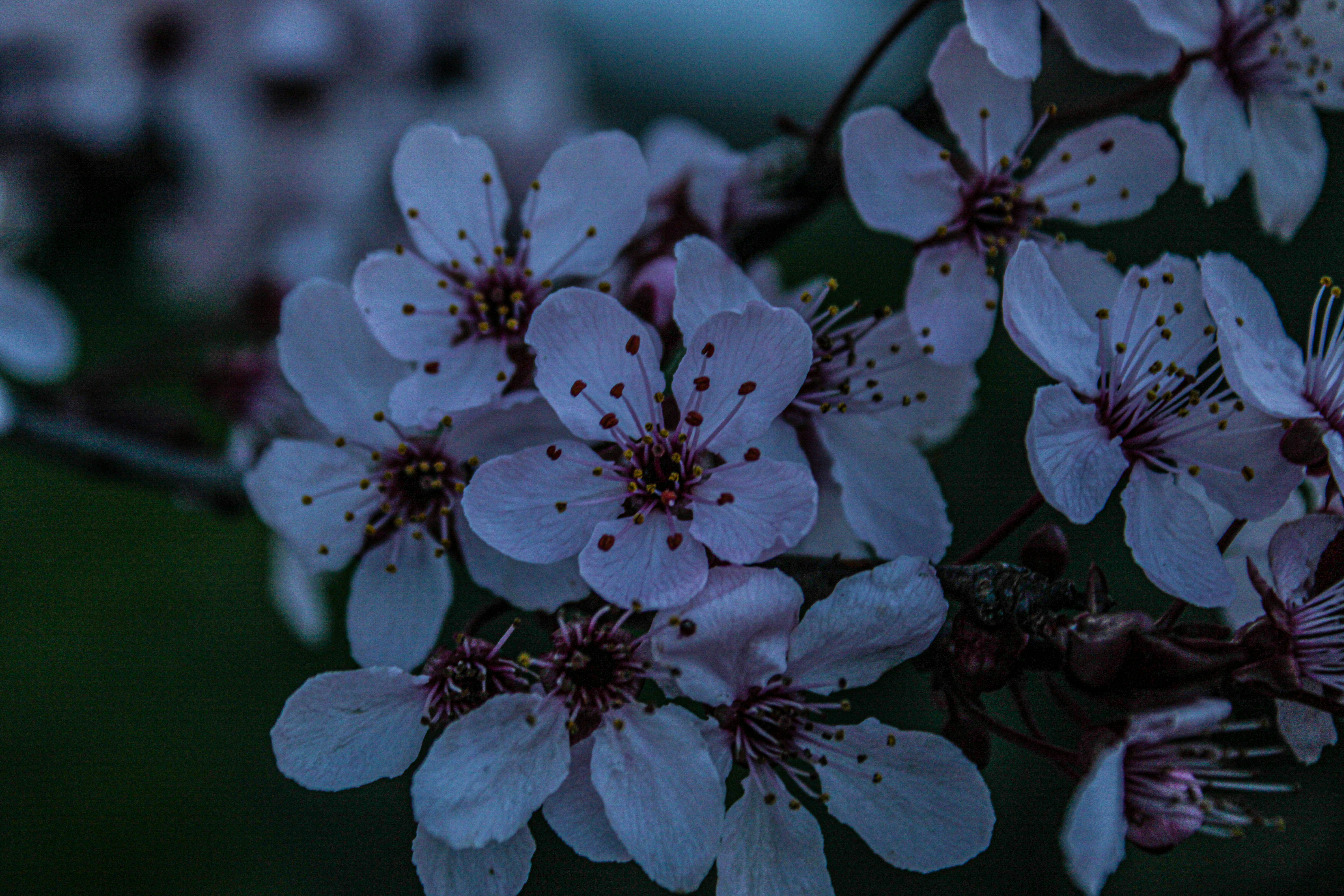 Photo by prphotography262