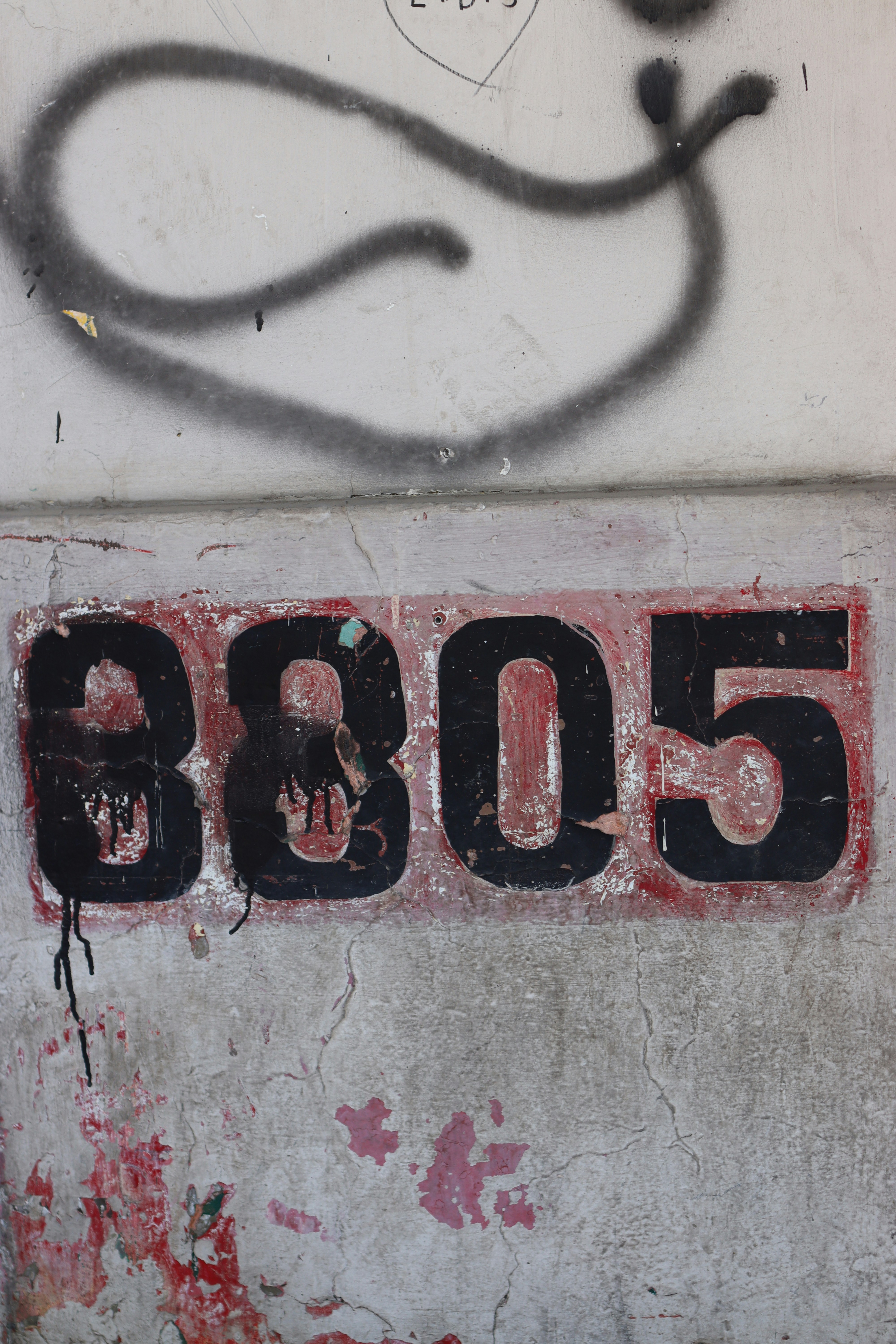 Photo by rodrigotypo