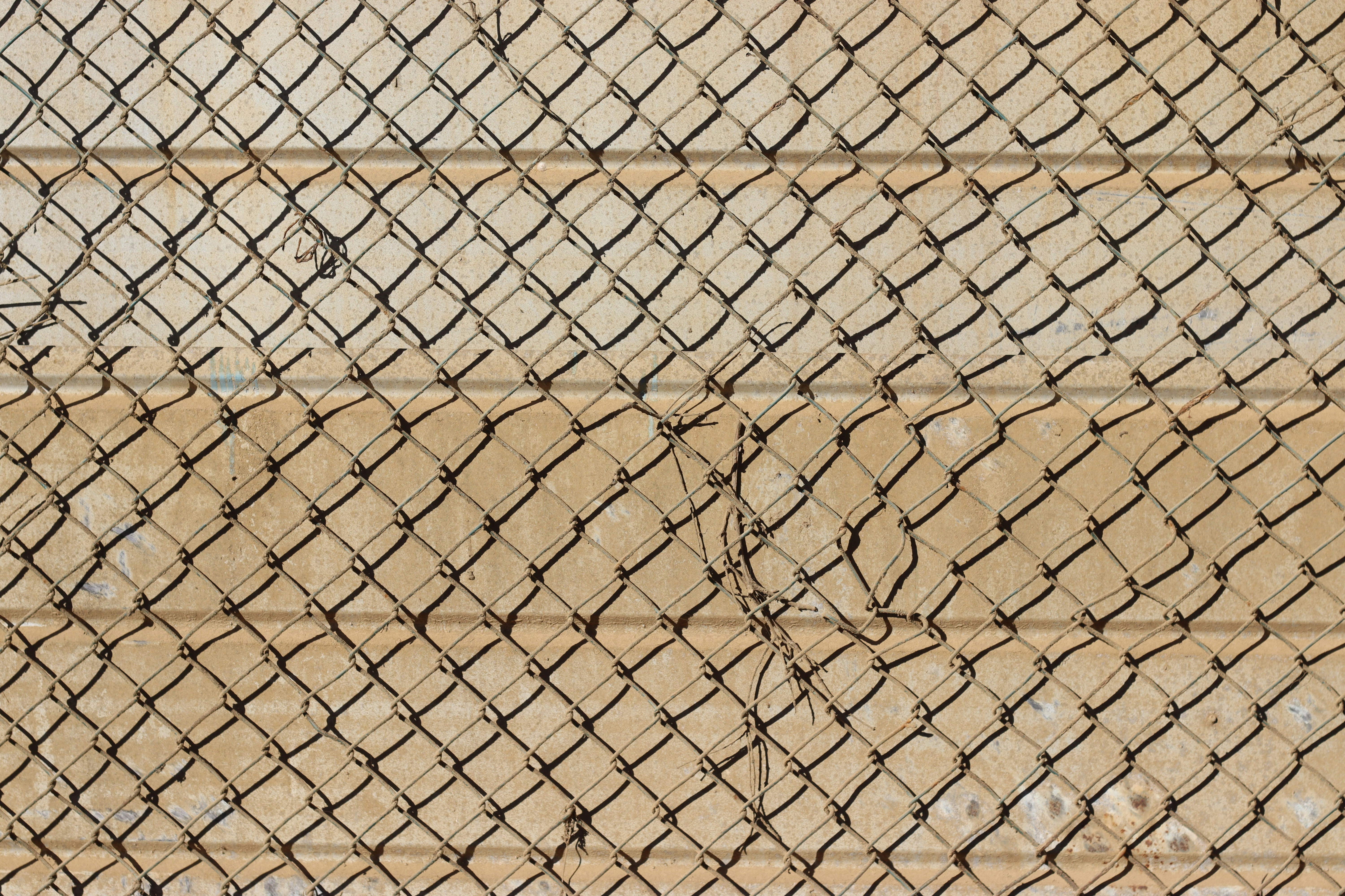 Photo by rodrigotypo