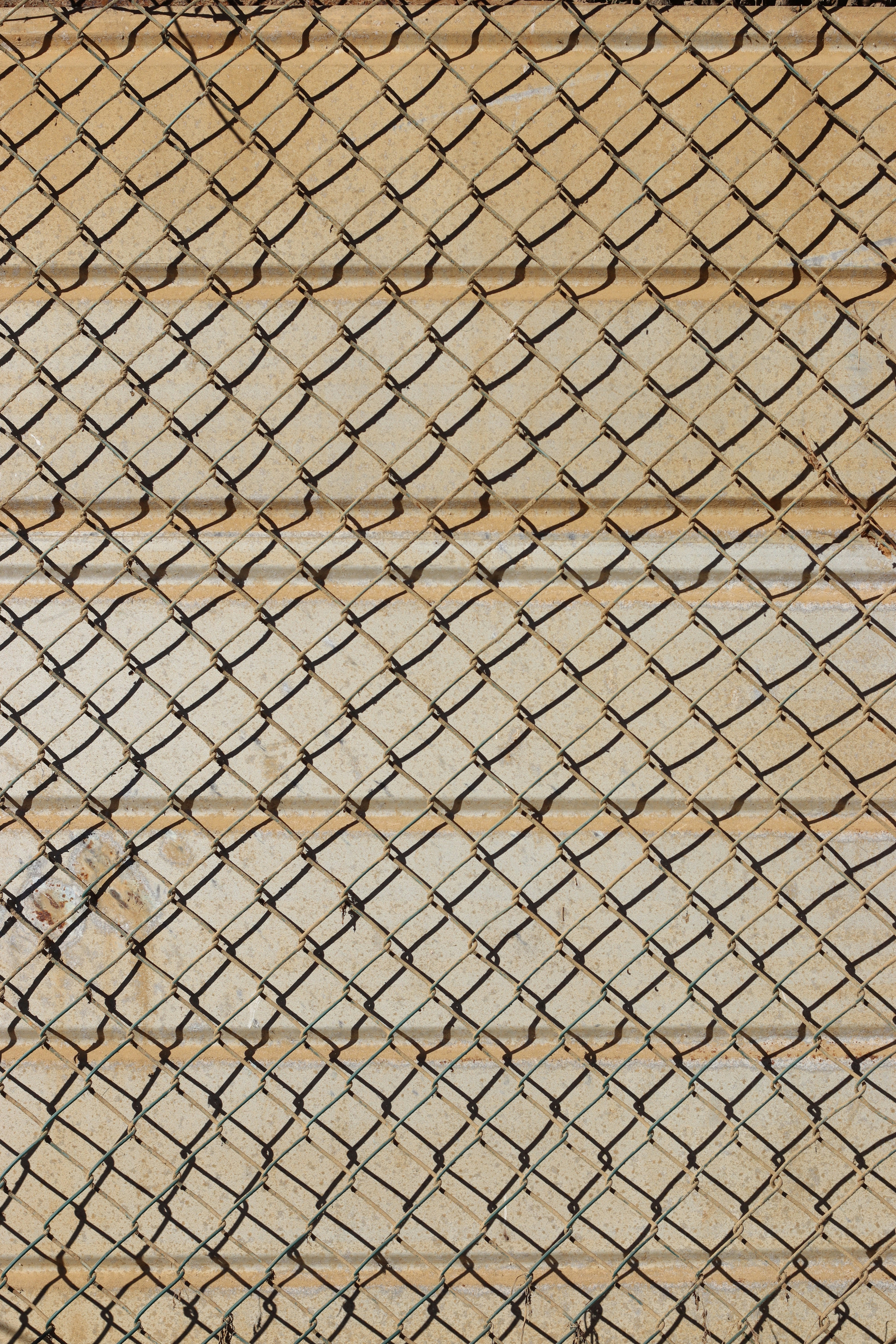 Photo by rodrigotypo