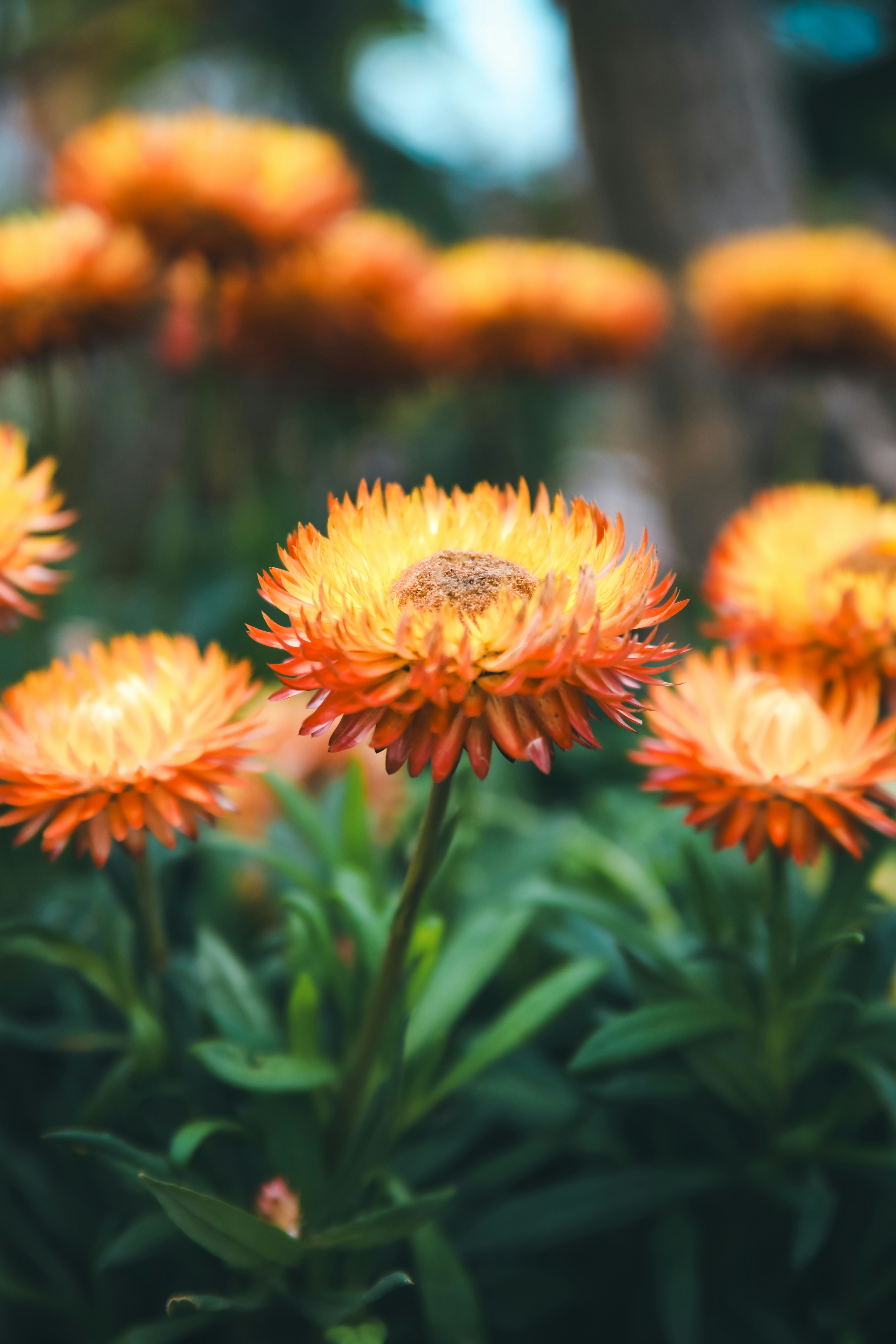 Photo by unclpenguin