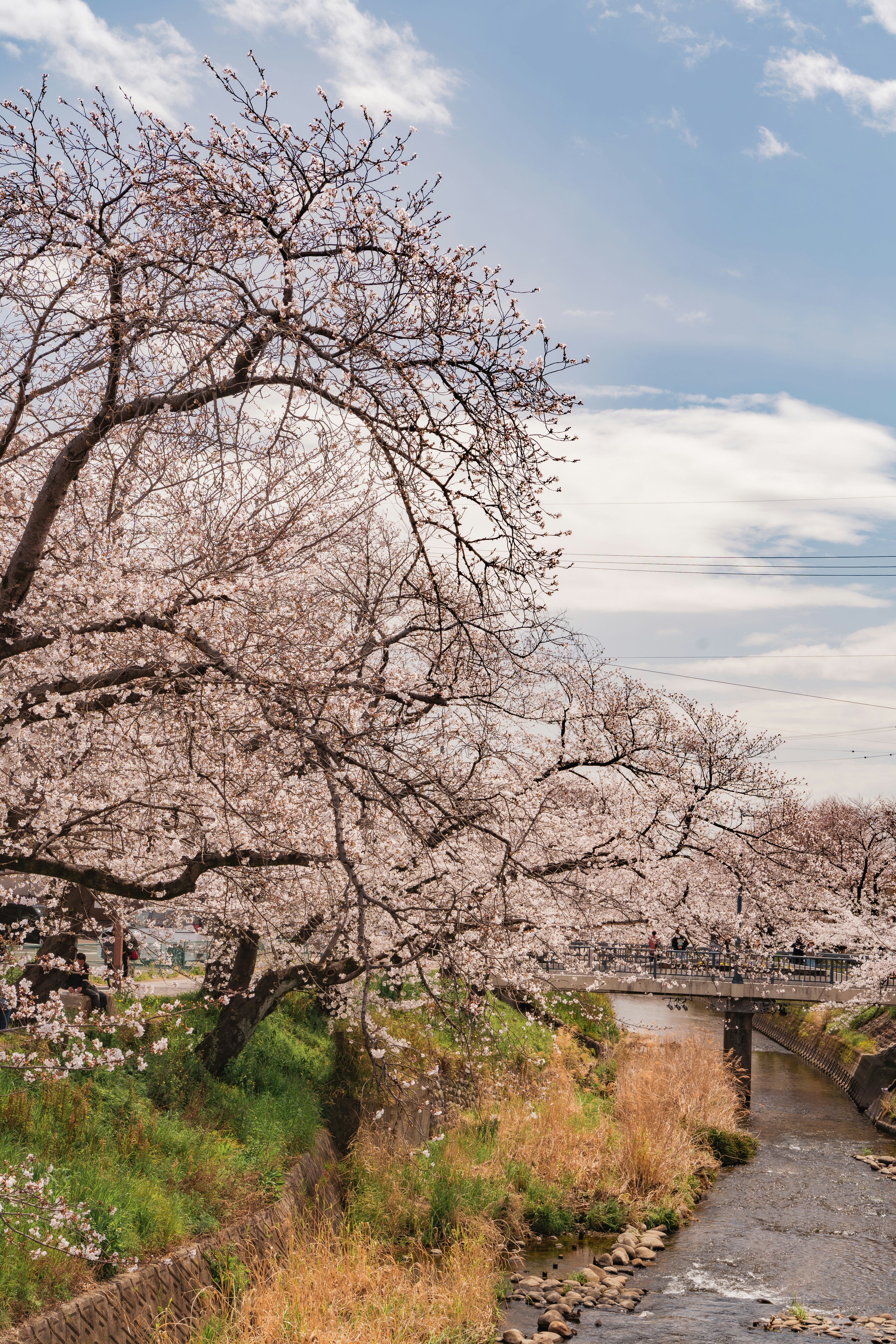 Photo by studiorossy