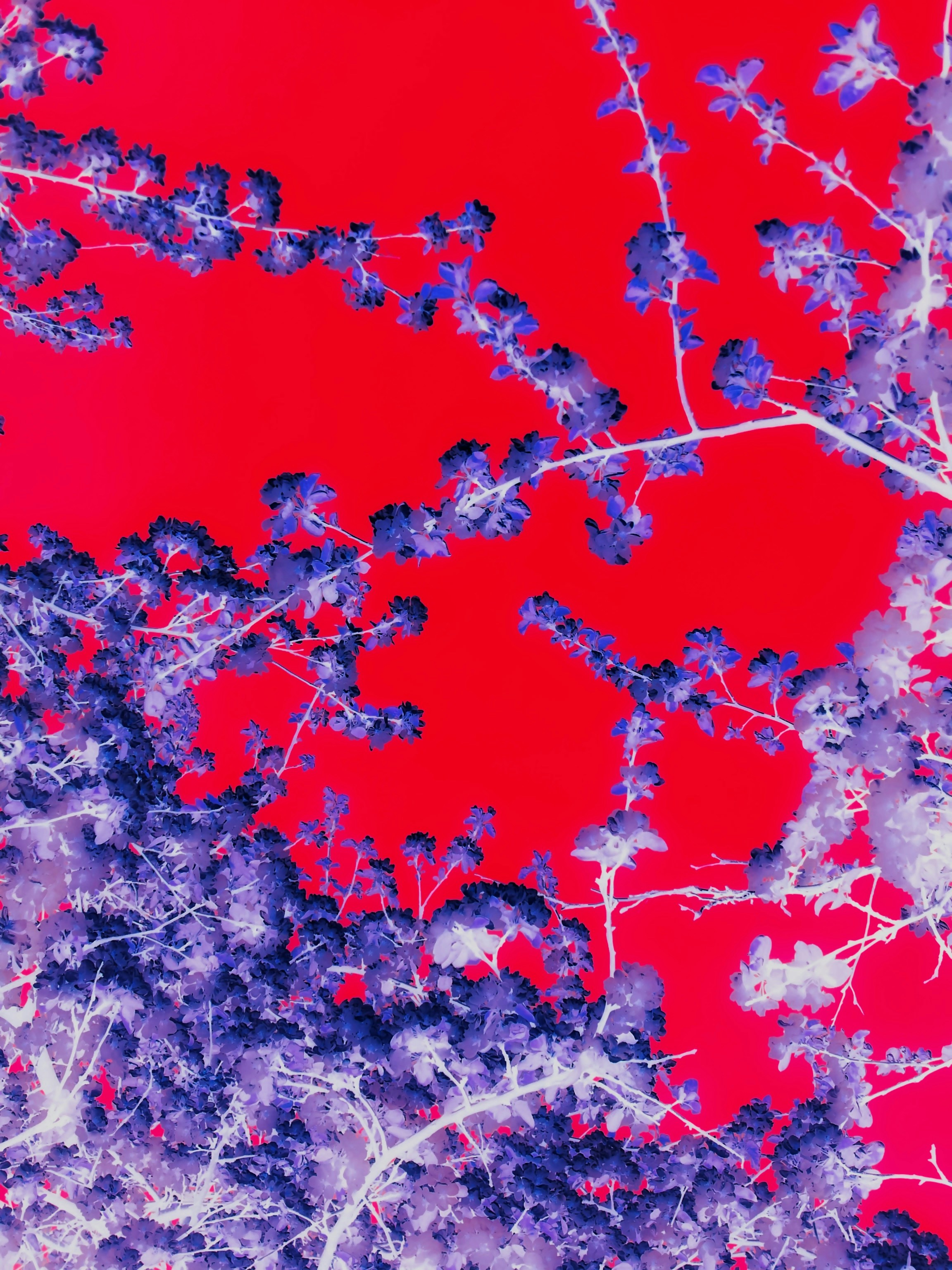 Photo by eugene_golovesov