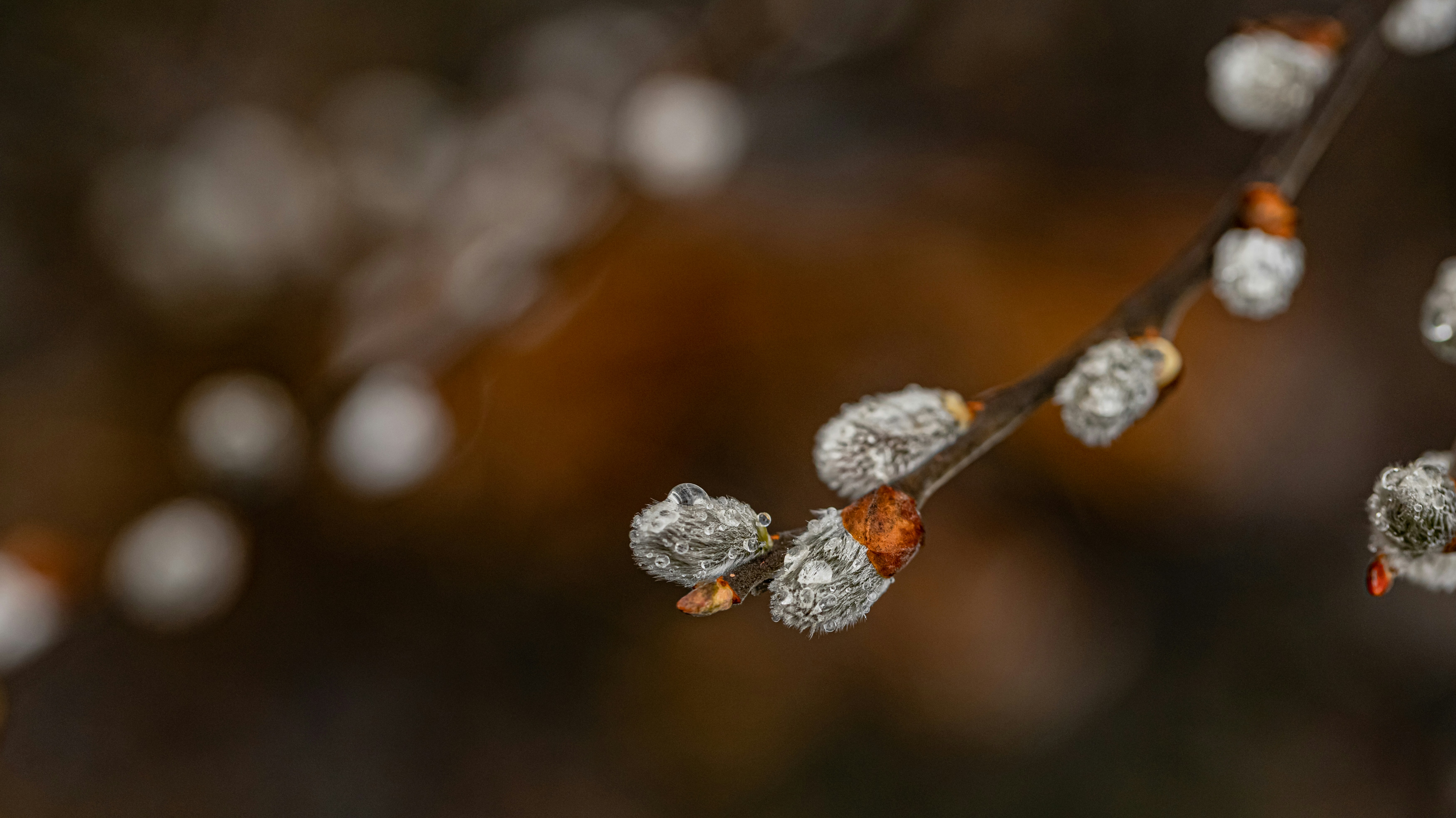 Photo by kogan_74