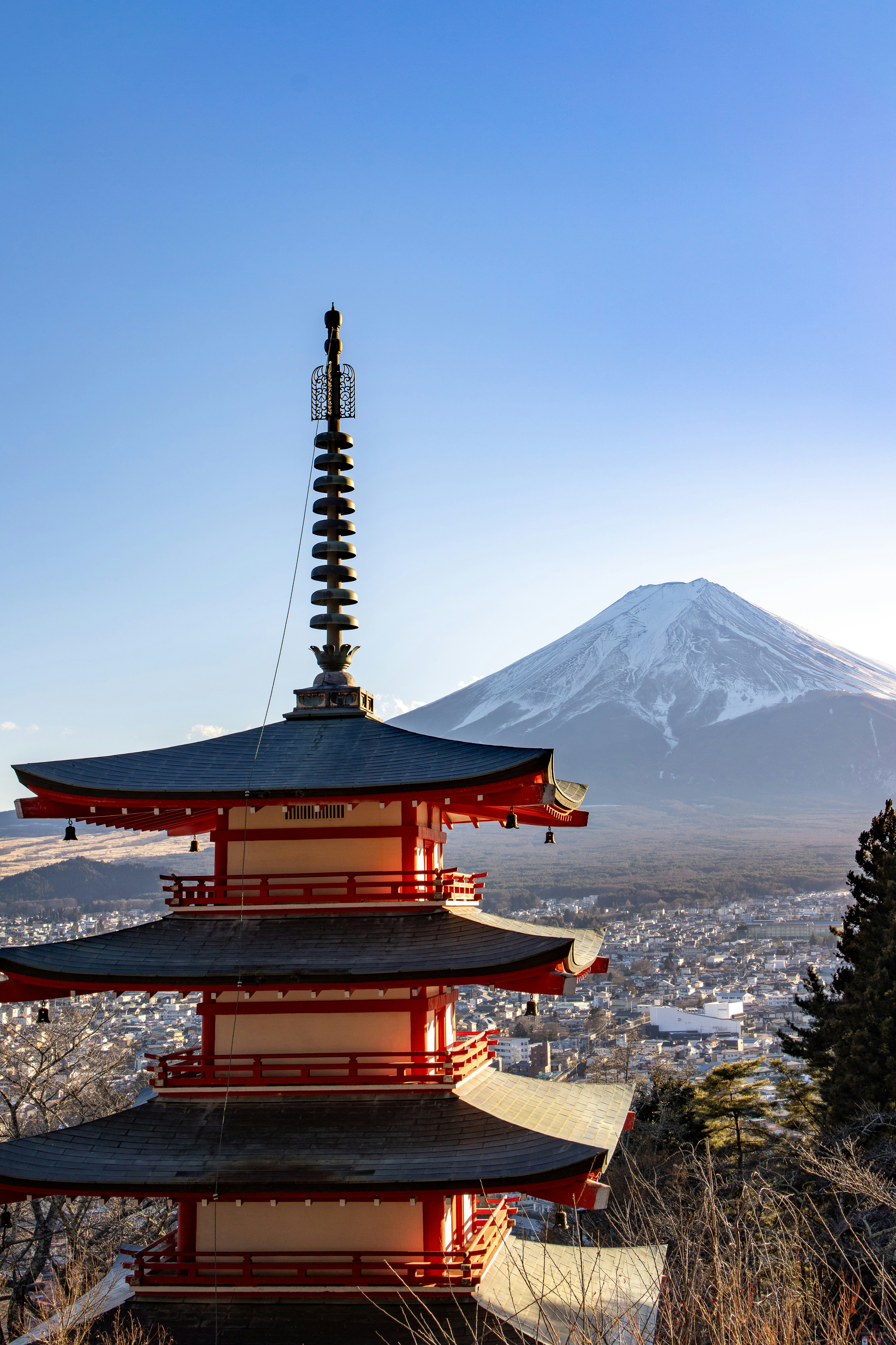 Photo by photos_by_ajay