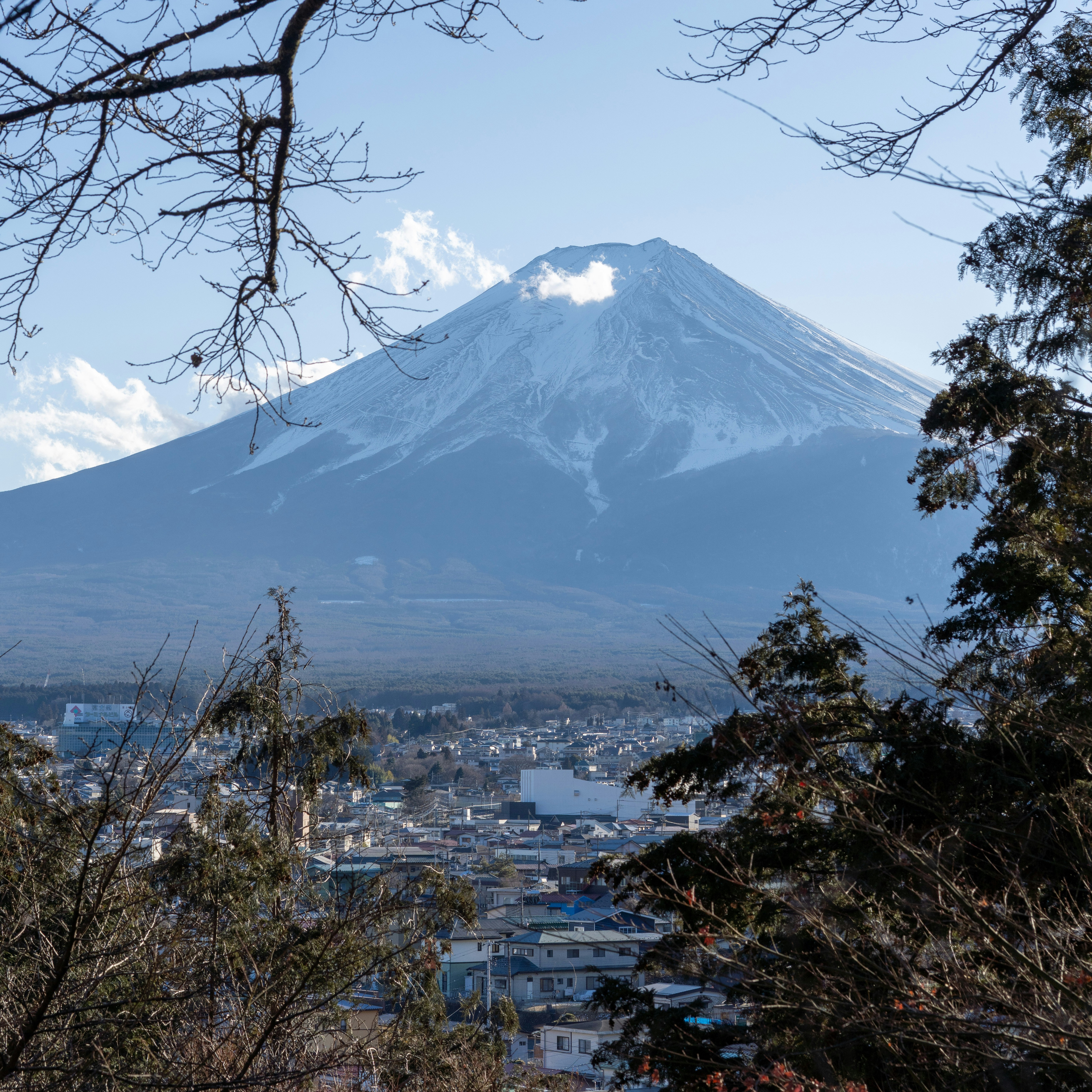 Photo by photos_by_ajay