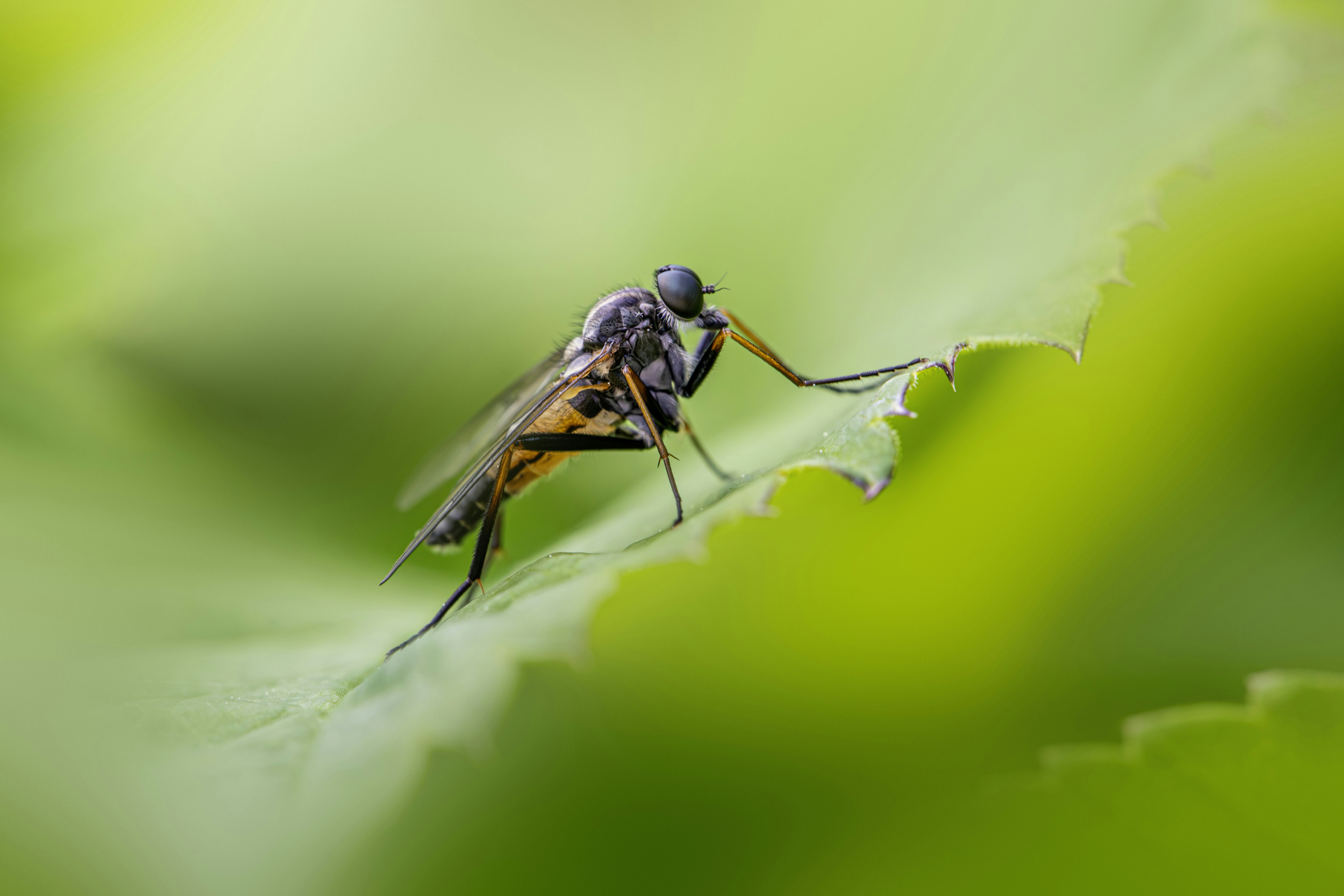 Photo by erik_karits