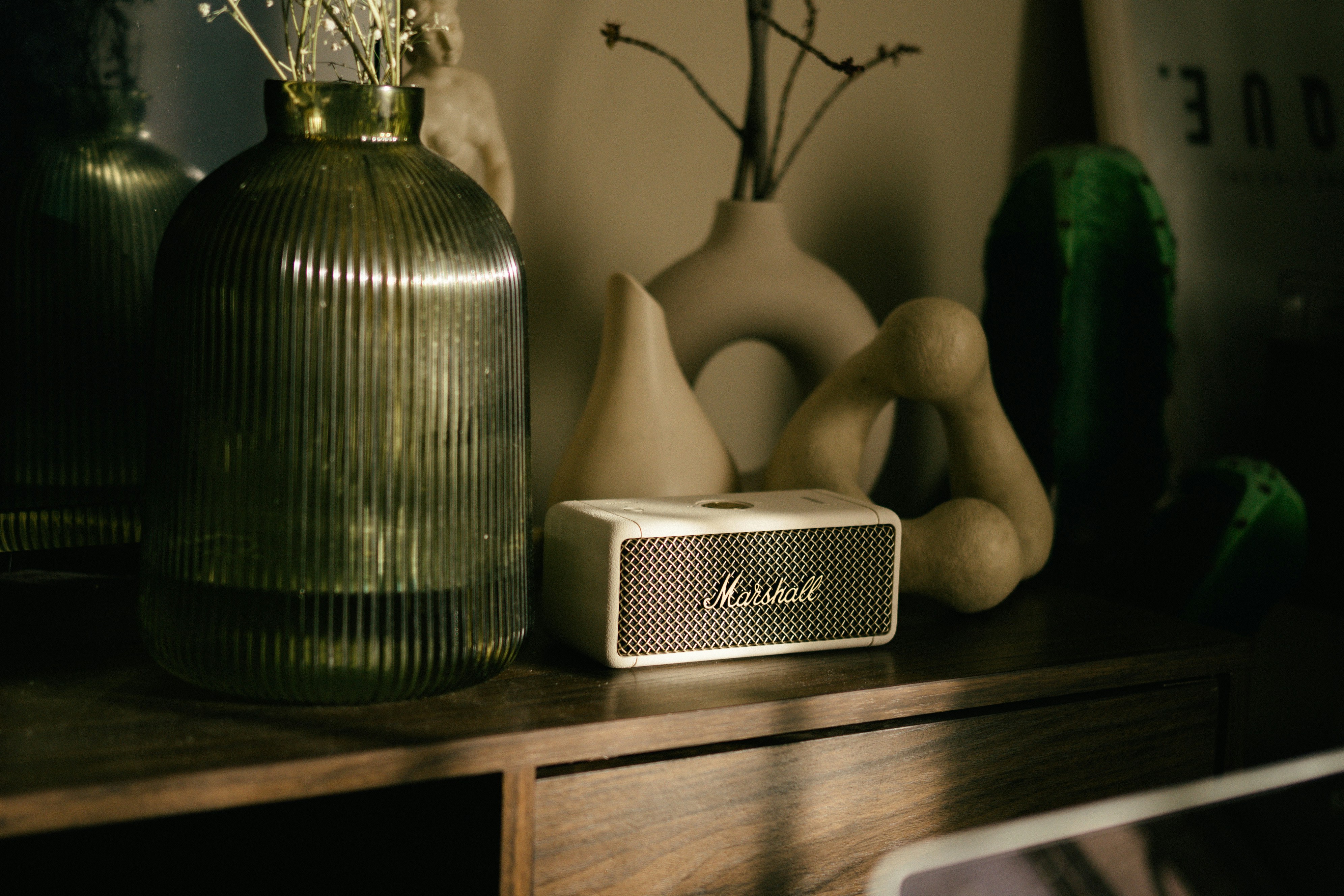 A marshall speaker sits among stylish decorations.