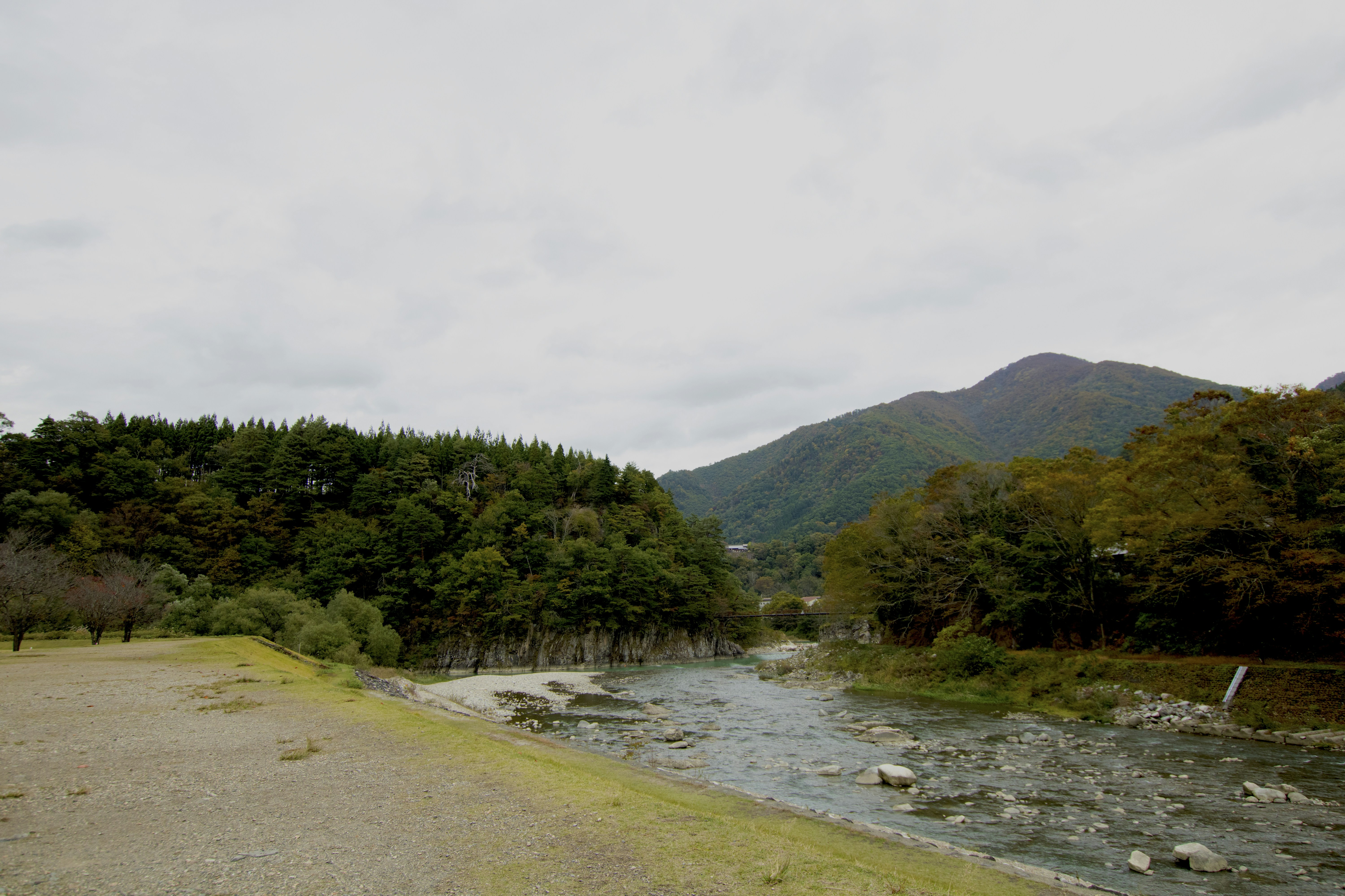A river flows through a forest and mountains.