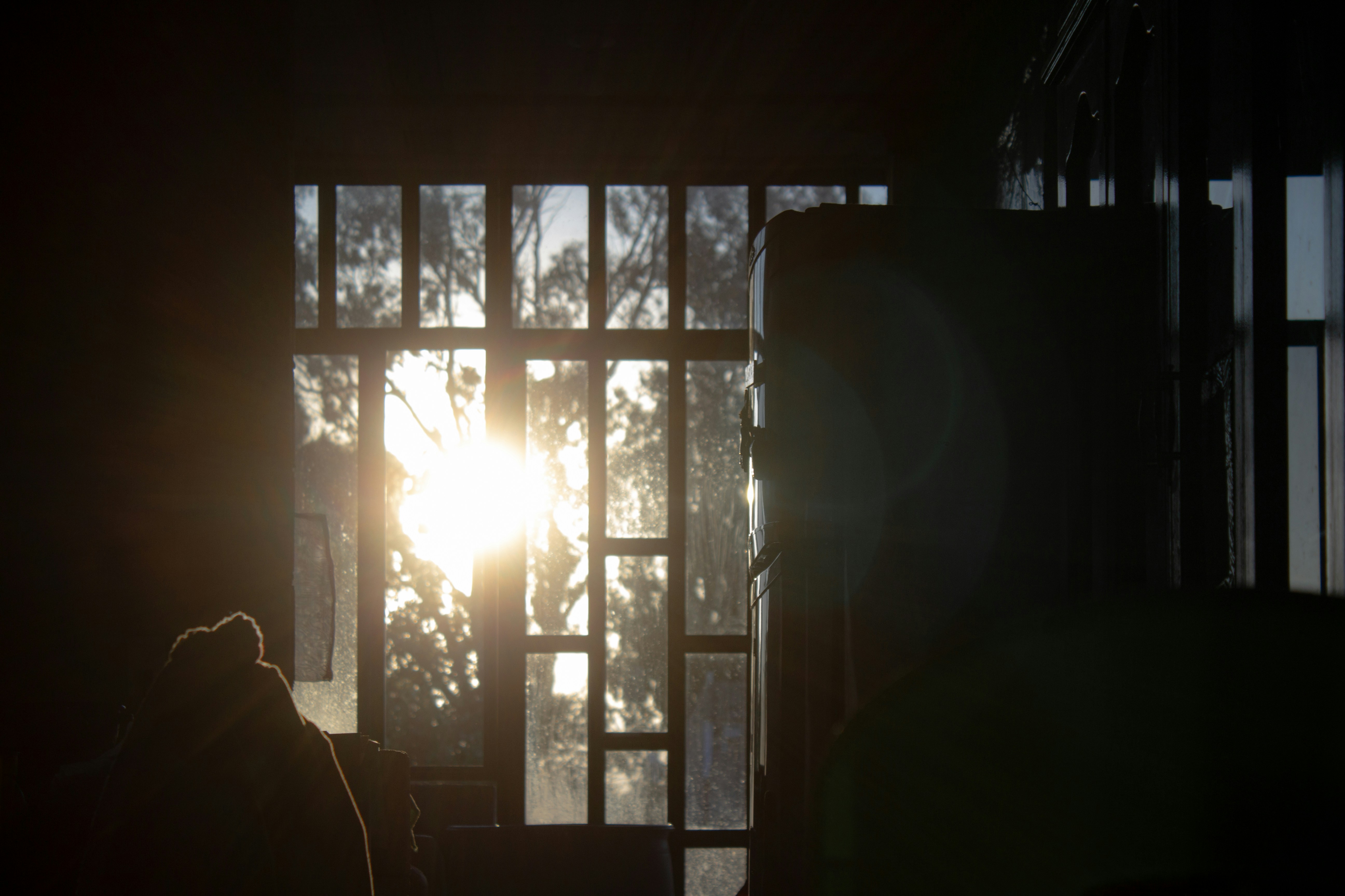 Photo by thalittlemarc