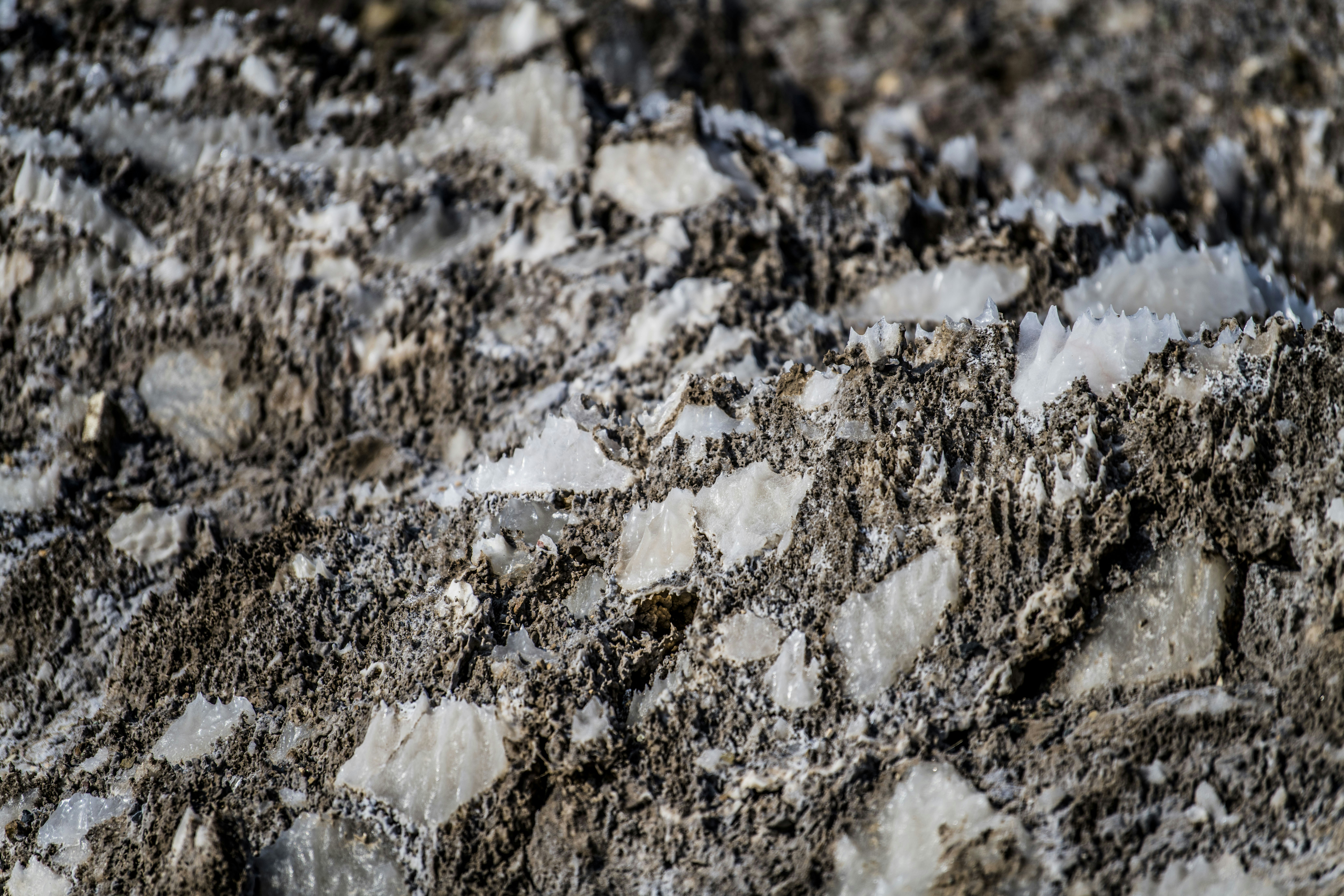 Photo by mahdika_1988