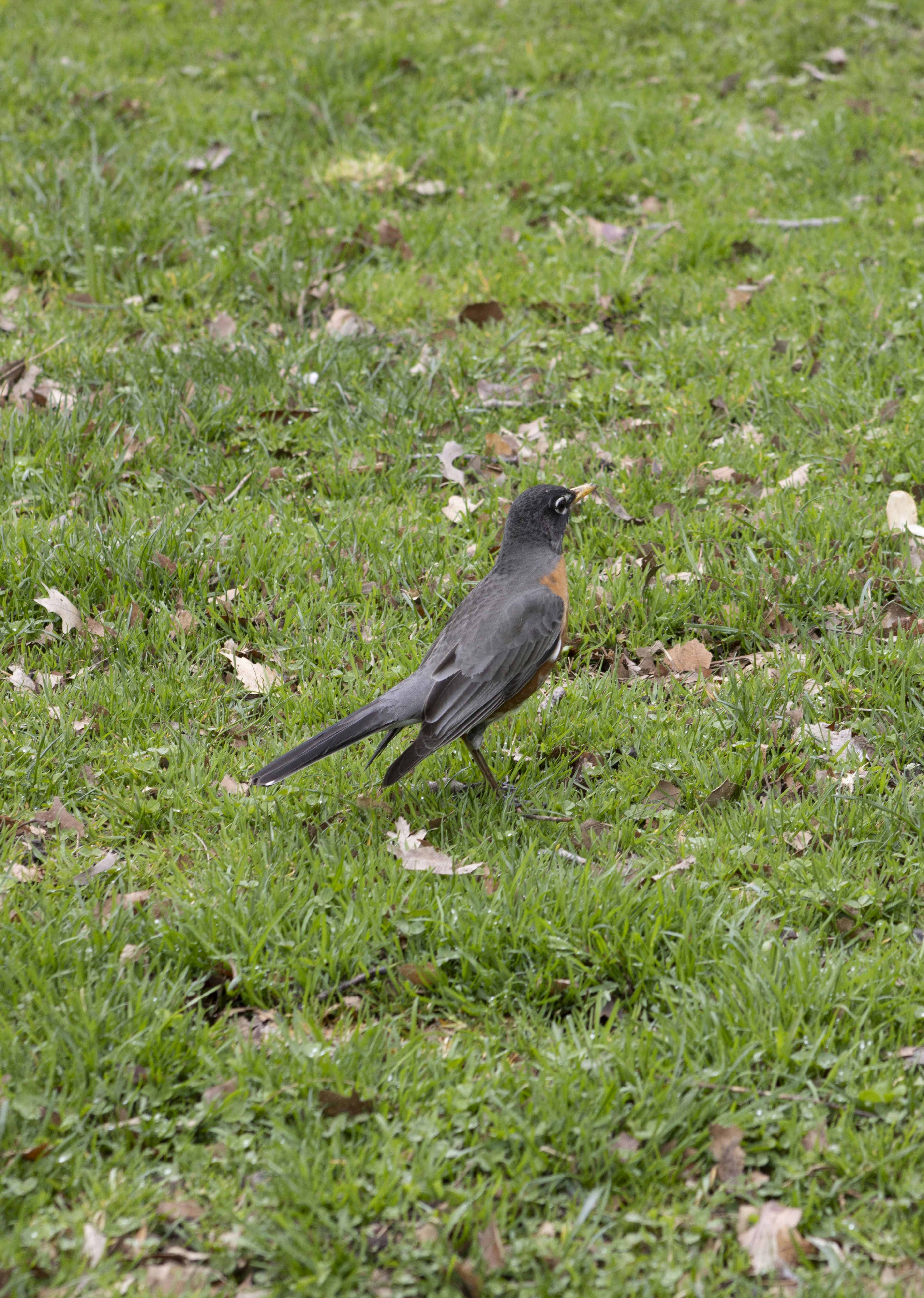 Photo by ivan_aviles