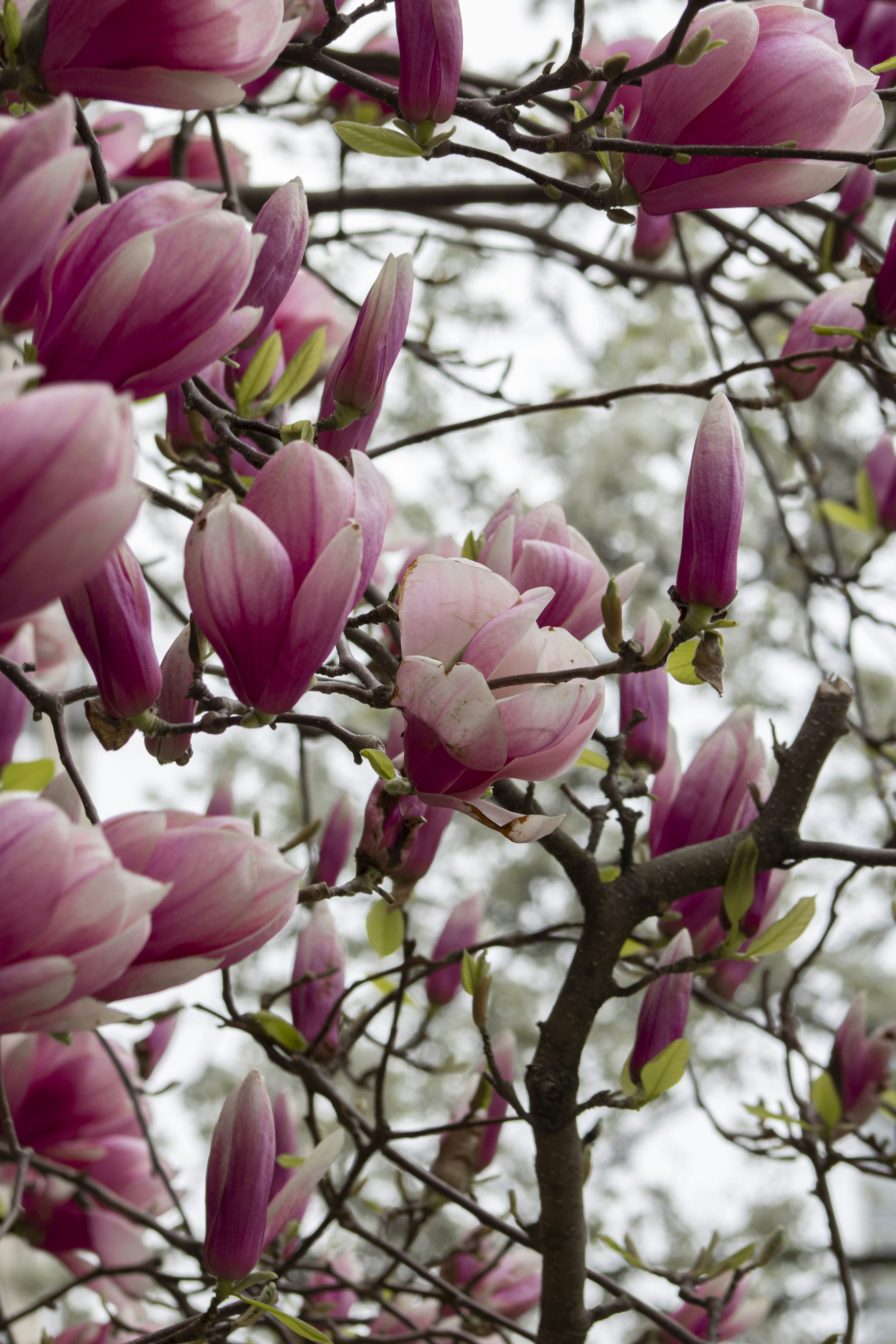 Photo by ivan_aviles