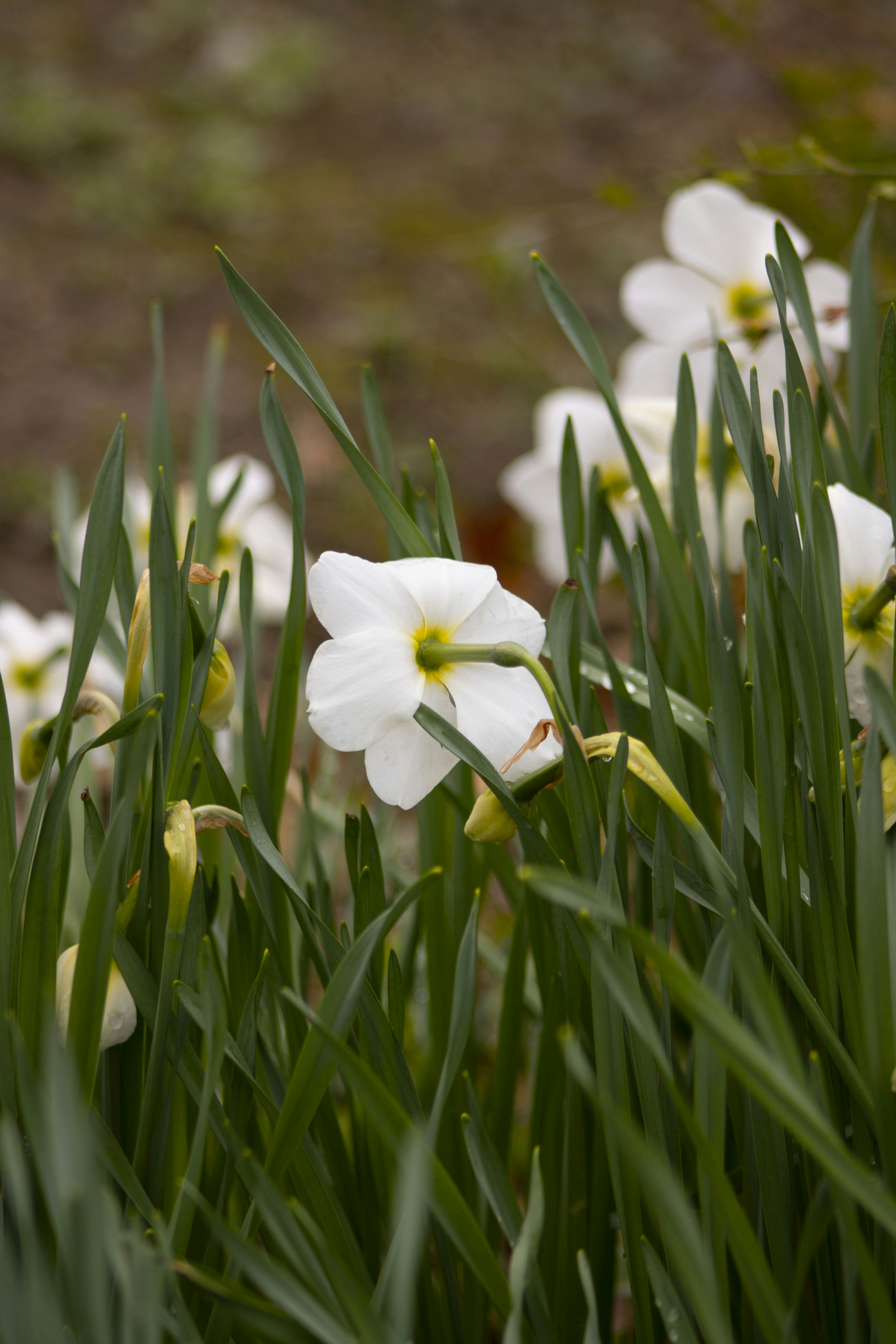 Photo by ivan_aviles