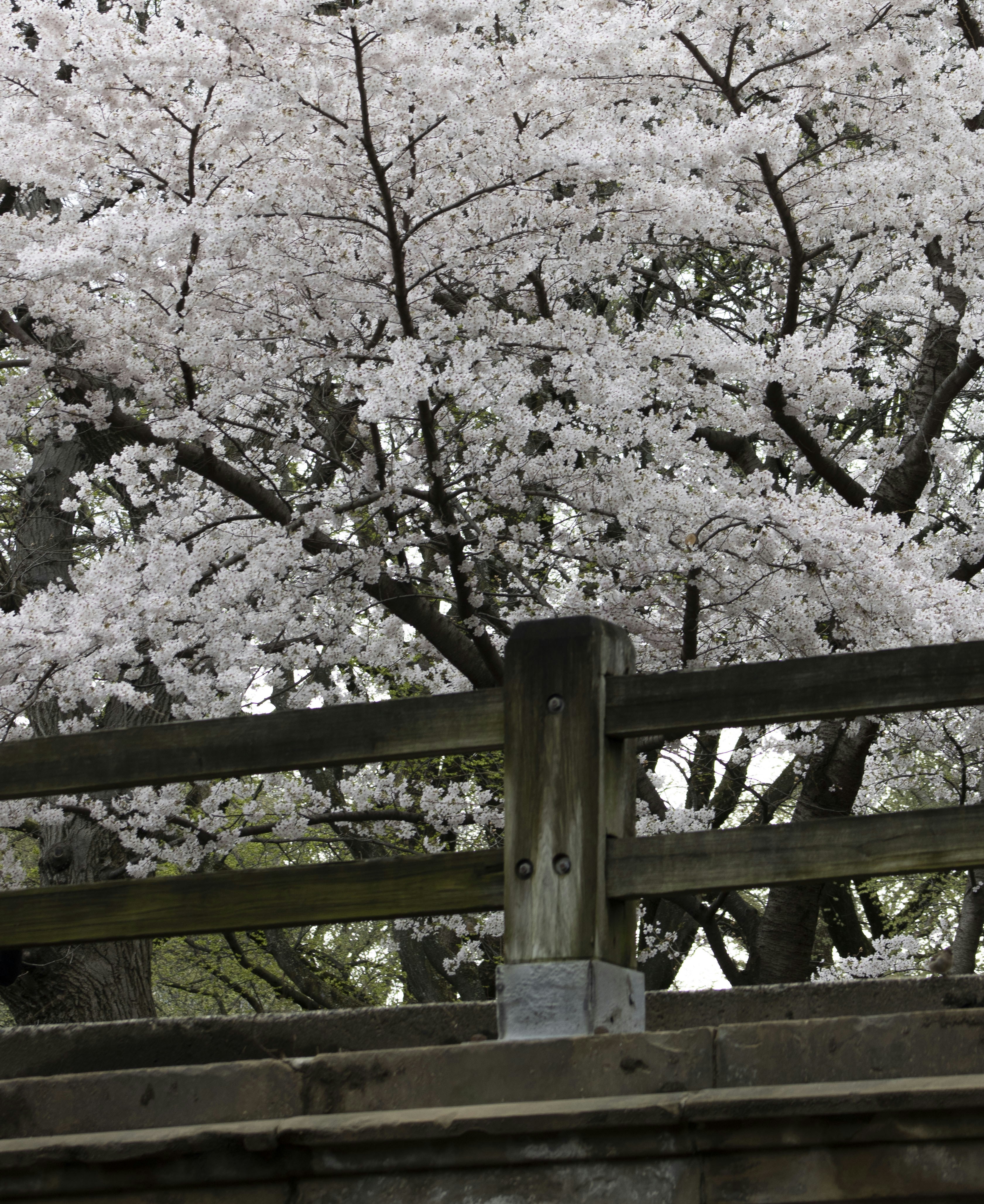 Photo by ivan_aviles