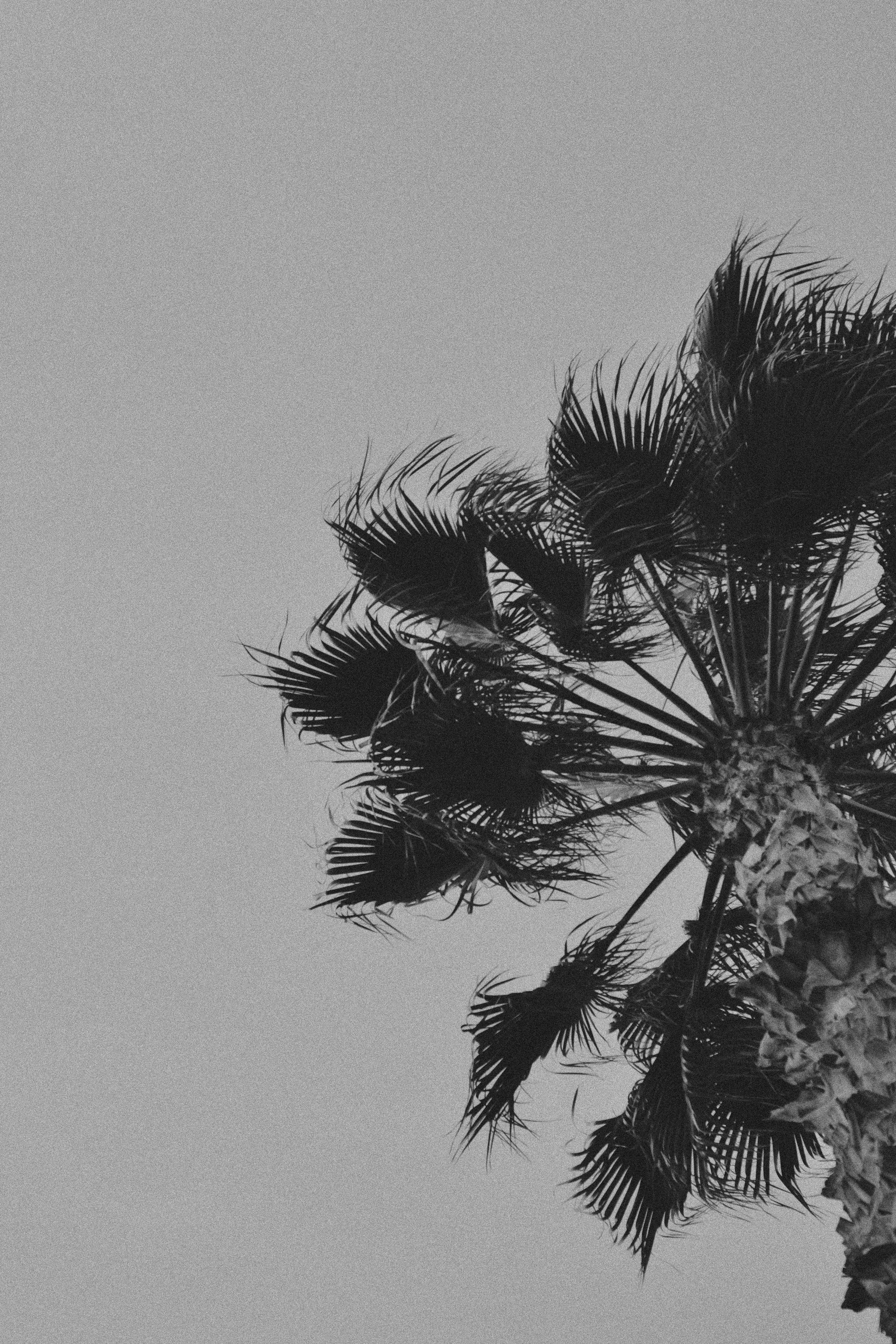 Photo by anivardiero