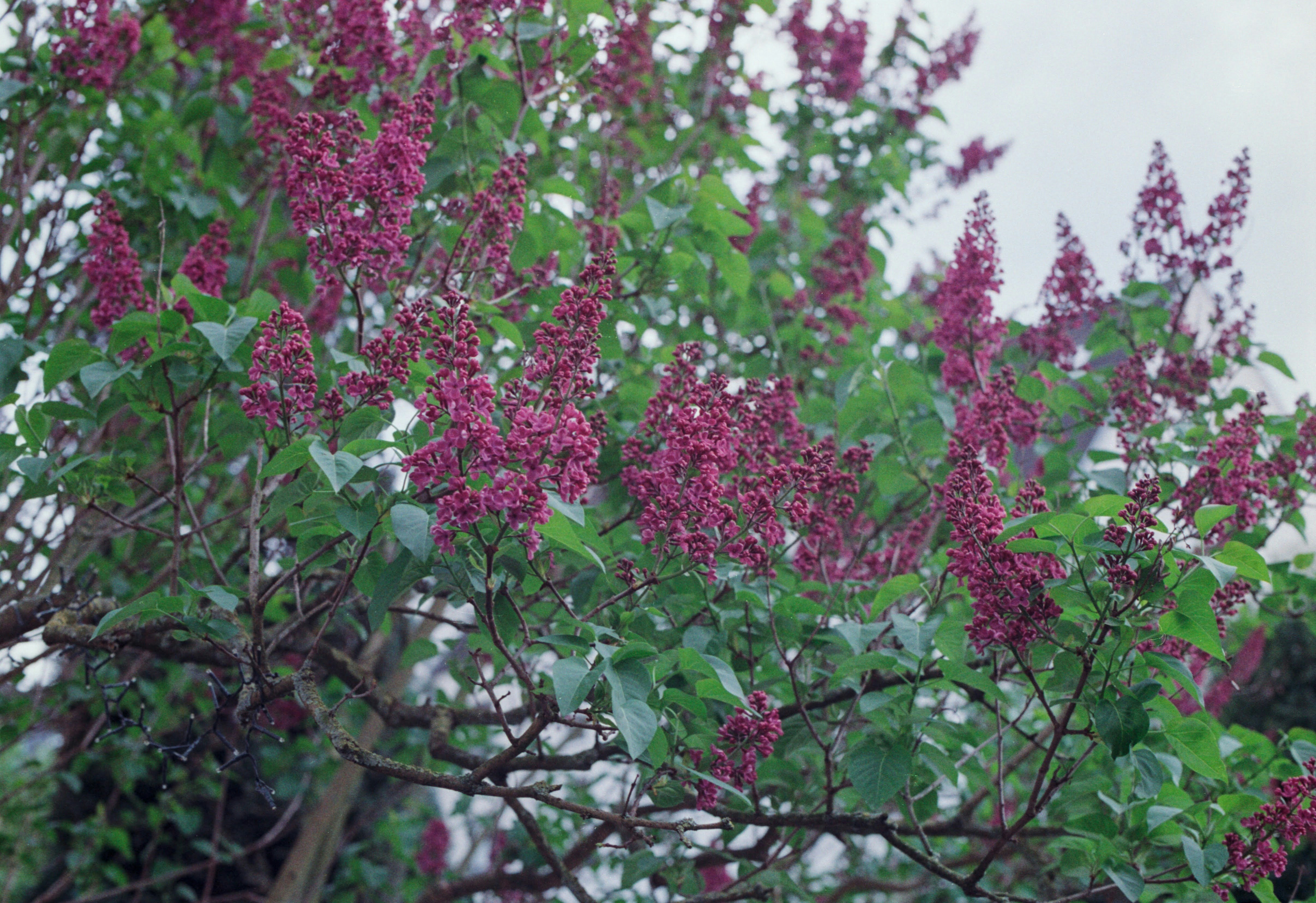 Photo by chrisvomradio