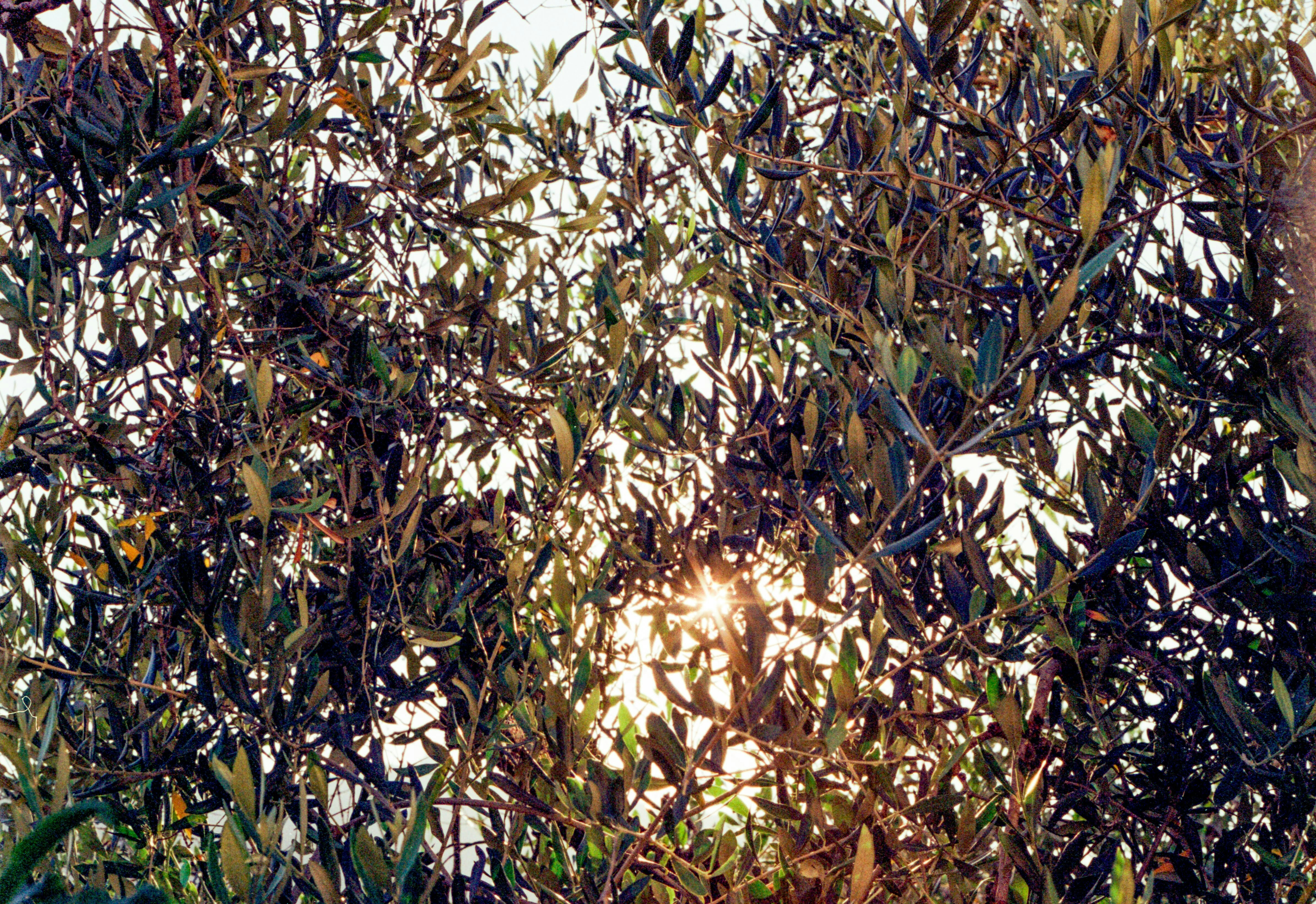 Photo by chrisvomradio