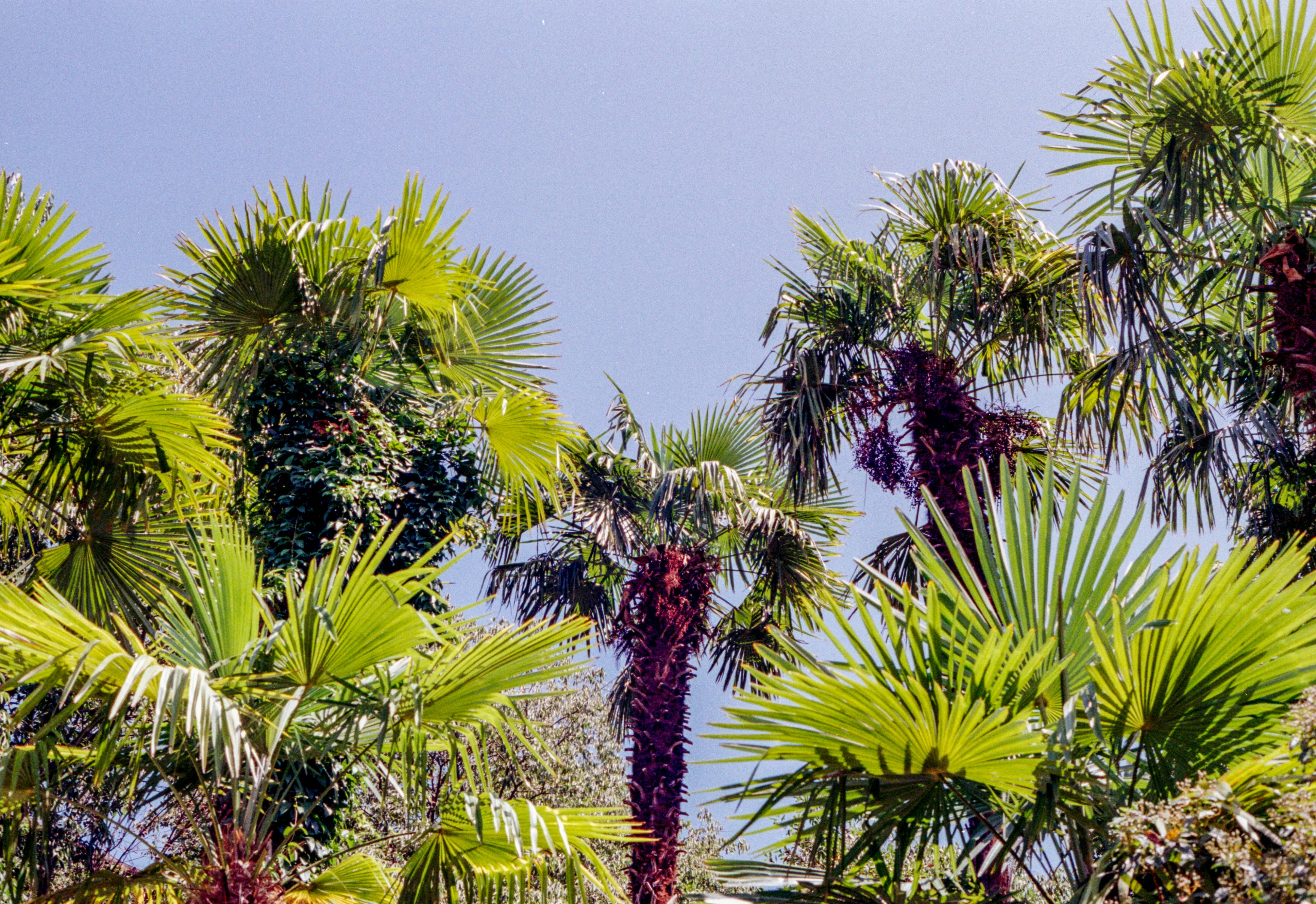 Palm Springs – Budgeting & Cost Expectations