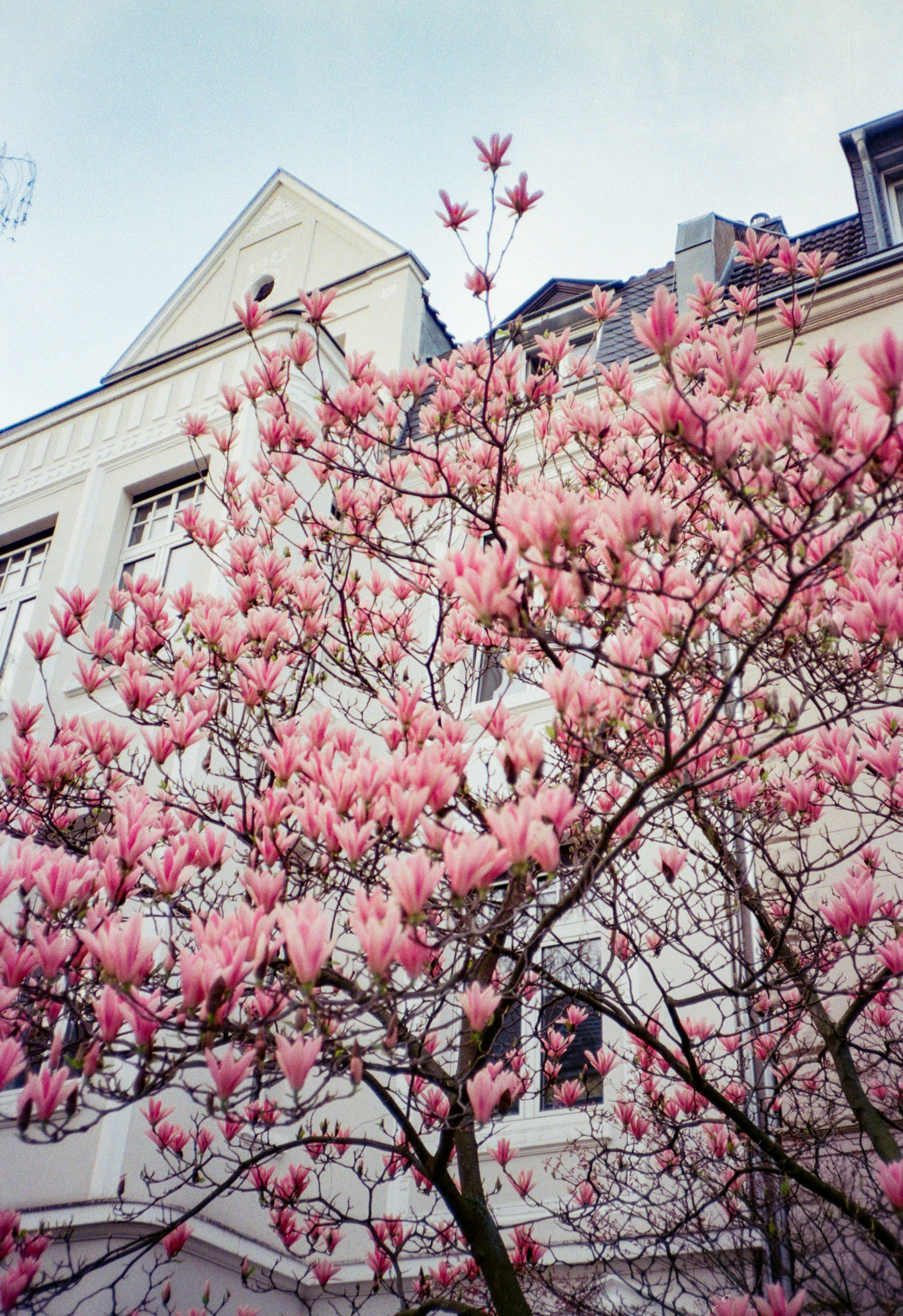 Photo by chrisvomradio