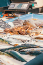 Fresh fish are displayed at a market.